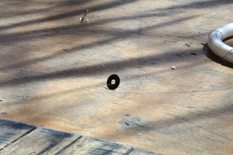 Eternal World Beauty