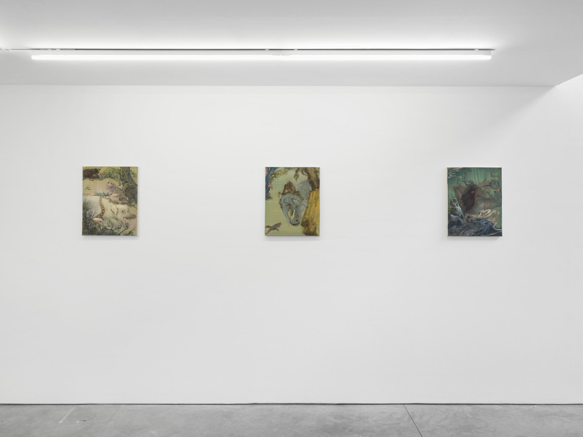 Searching the Mountains