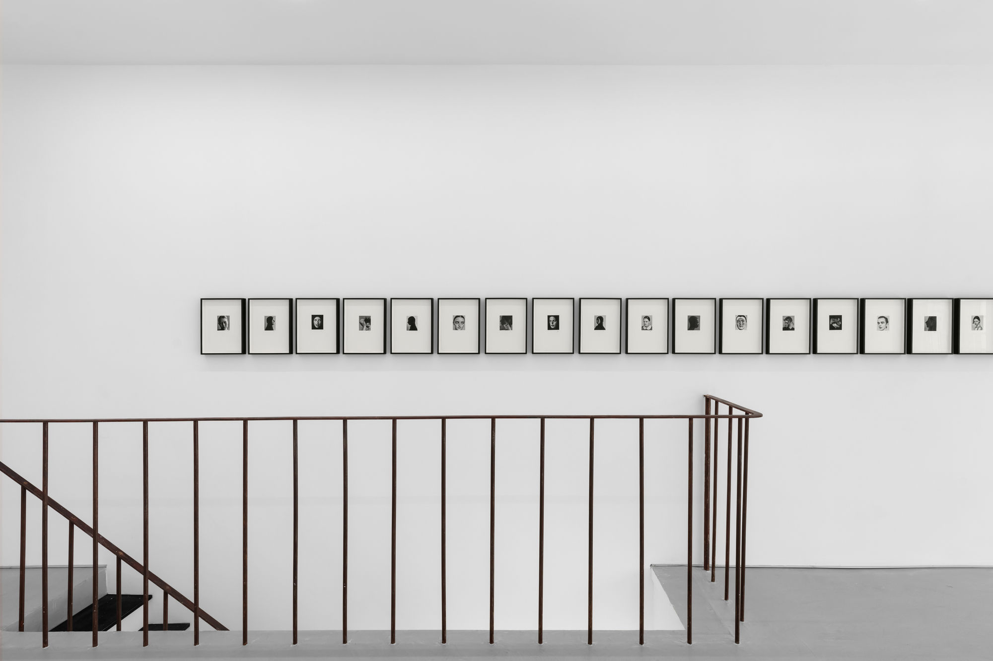 Portraits: 14–16 November