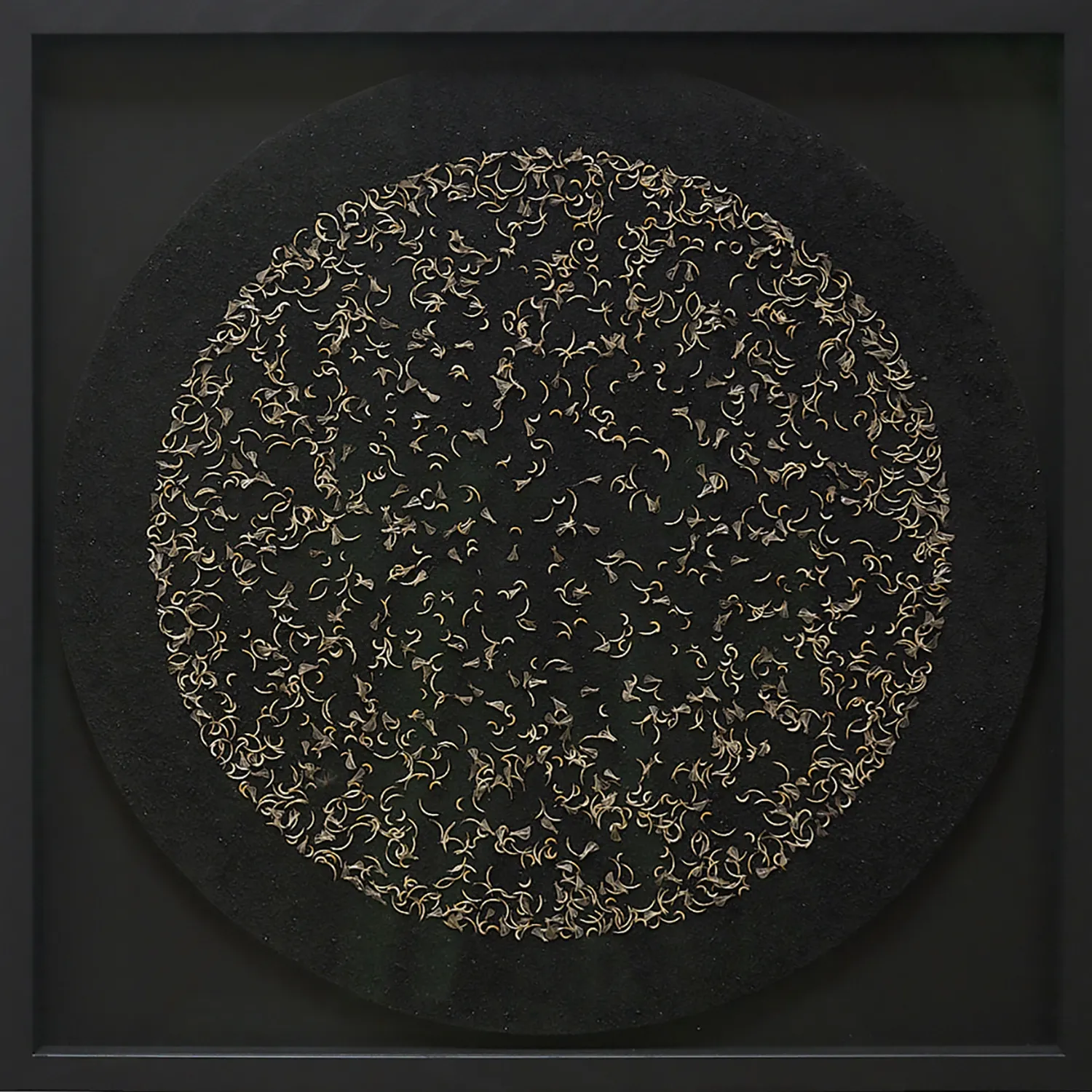 Liz McGowan, Complicity 3, 2026