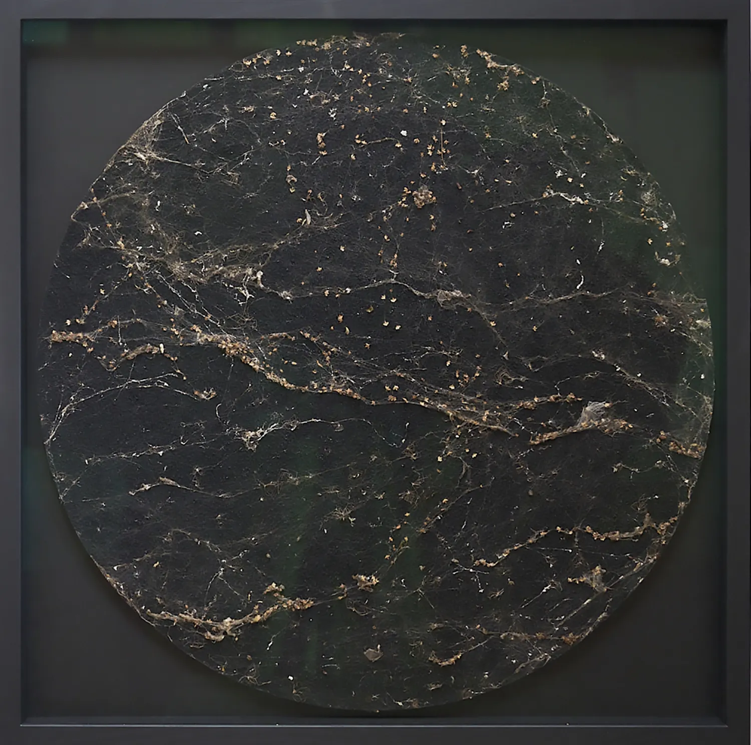 Liz McGowan, Complicity 4, 2026