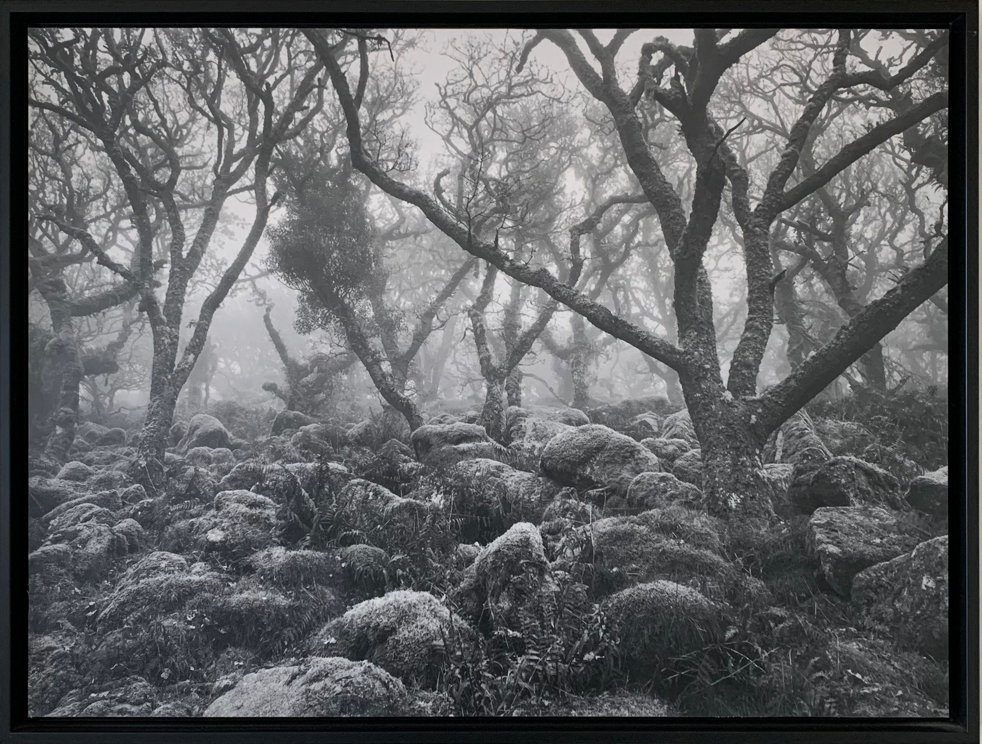 Gareth Hacon, Forgotten, 2020