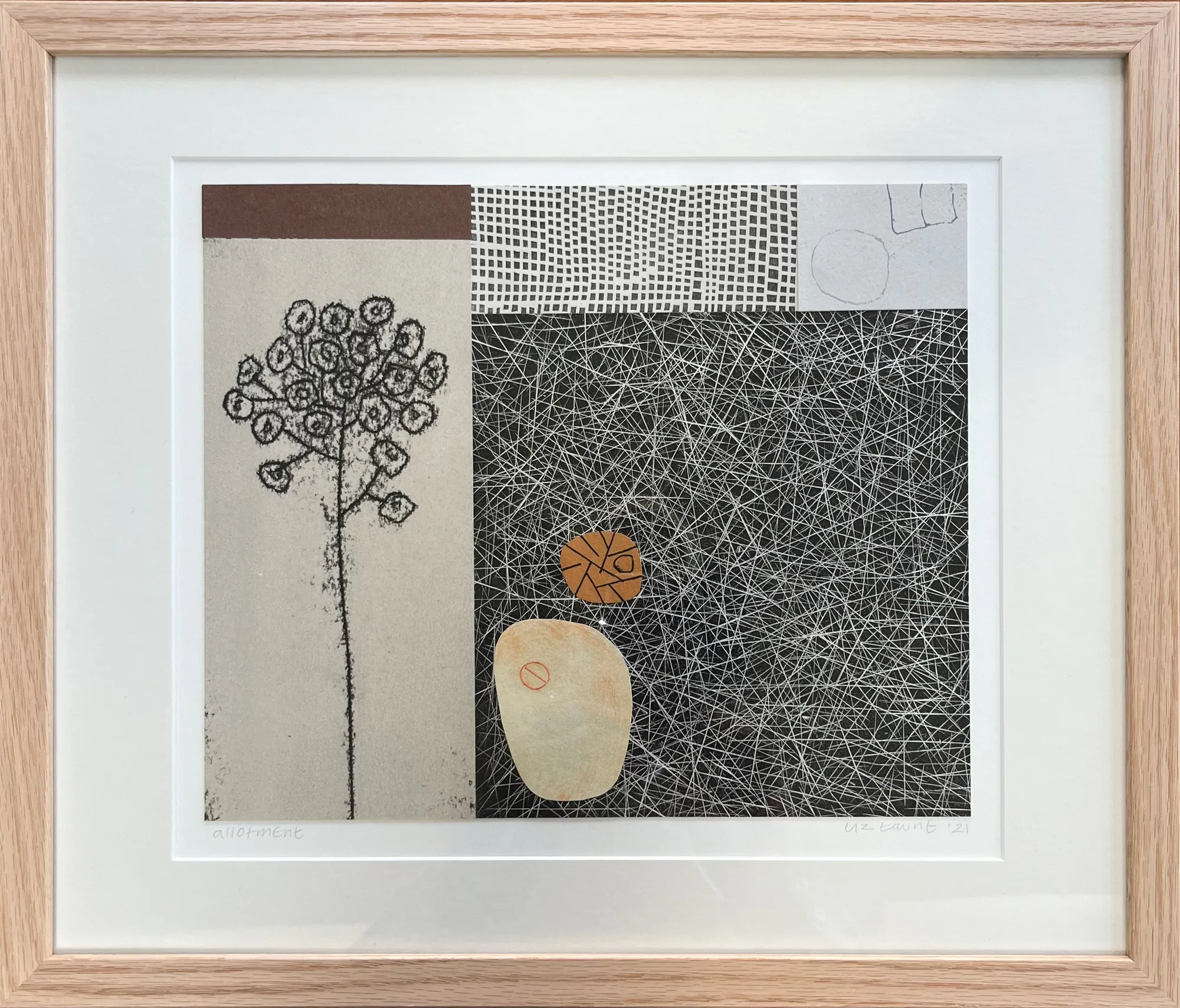 Liz Taunt, Allotment, 2022