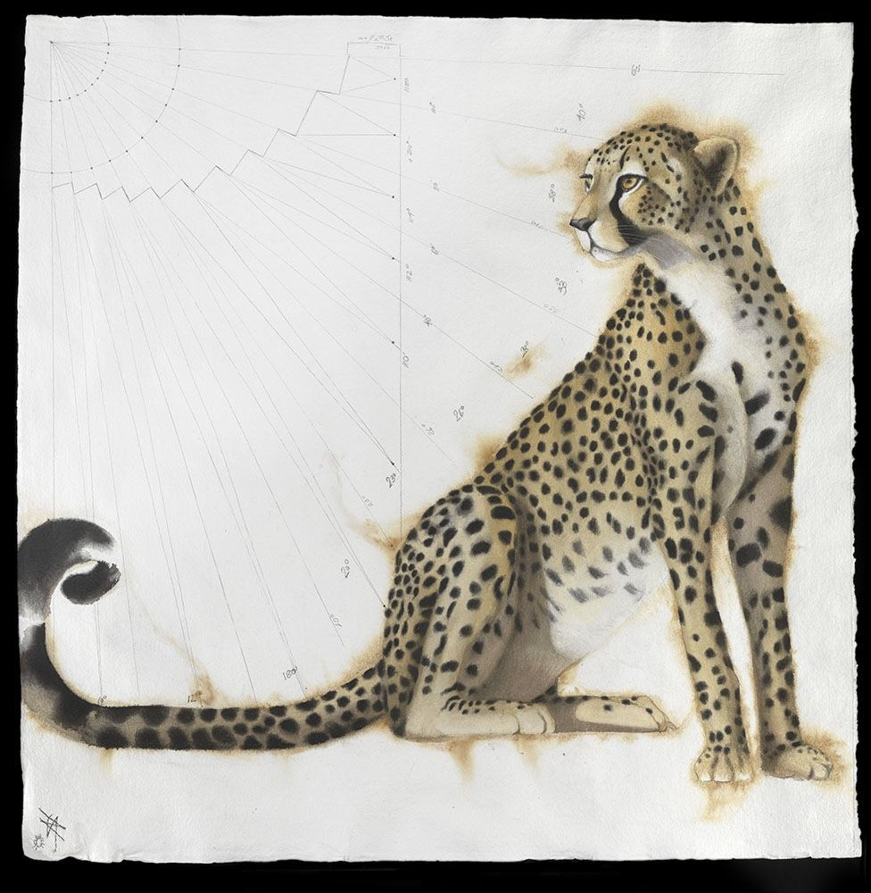 Affordable Art Fair, Hampstead