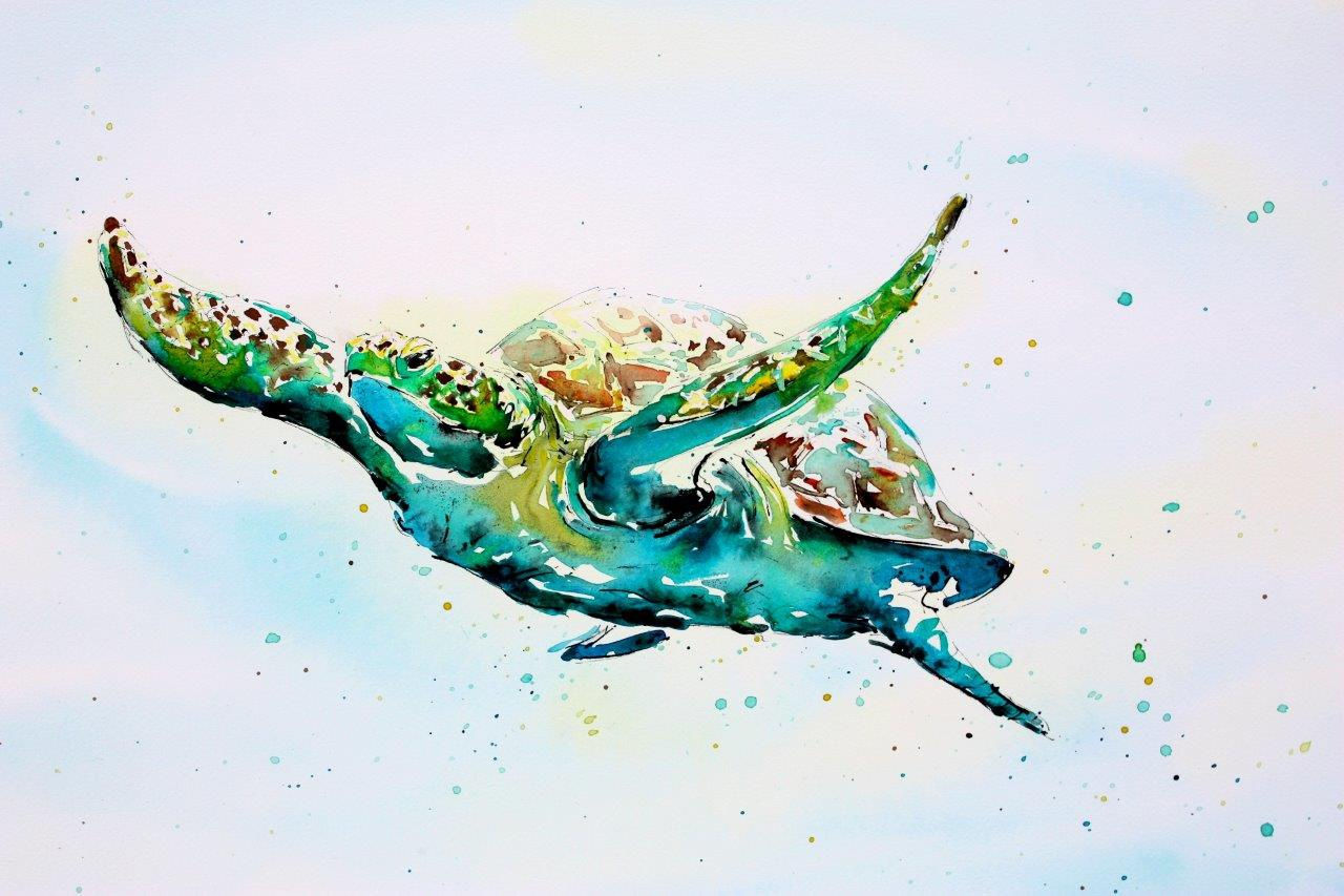 Green Turtle, £1,650