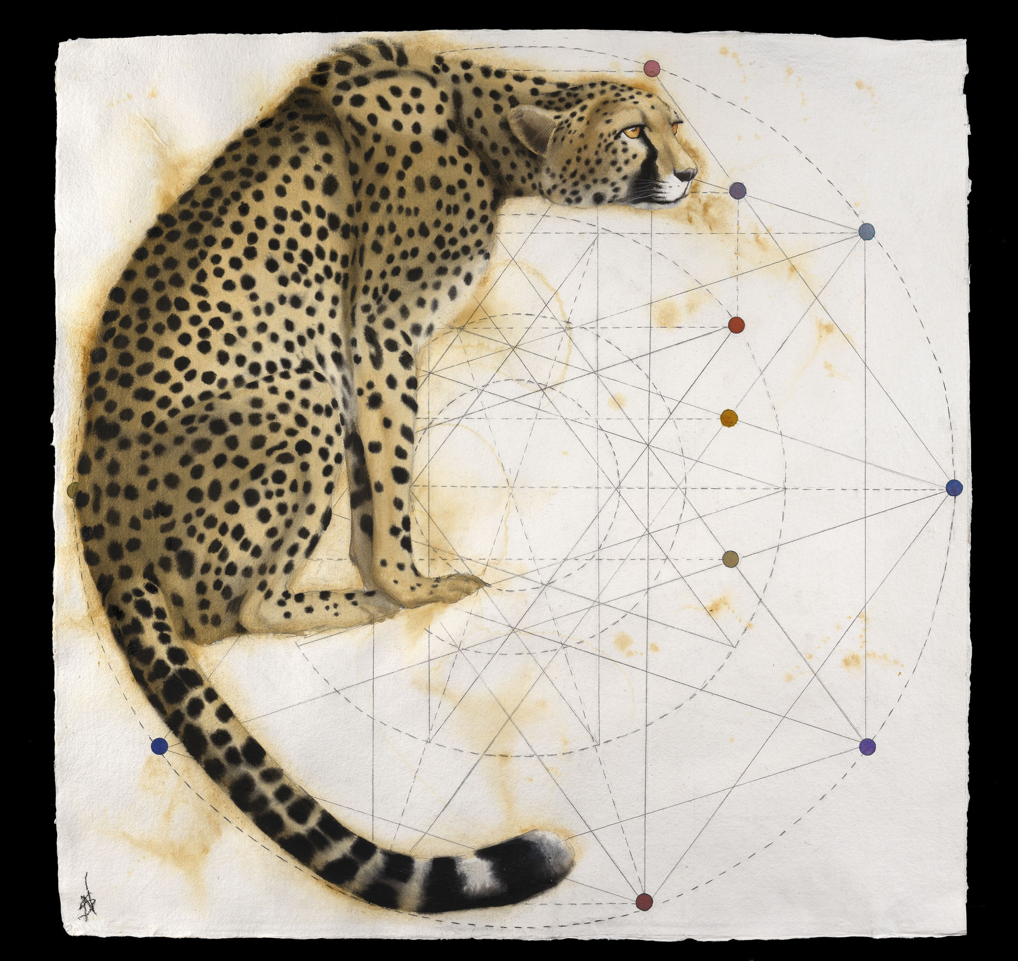 Nikki Stevens Gothic Cheetah, 2015 Signed Watercolour on paper 37 x 37 in 94 x 94 cms