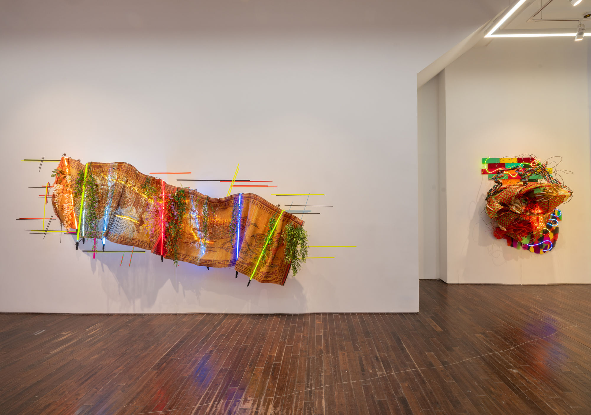 Judy Pfaff: Light Years