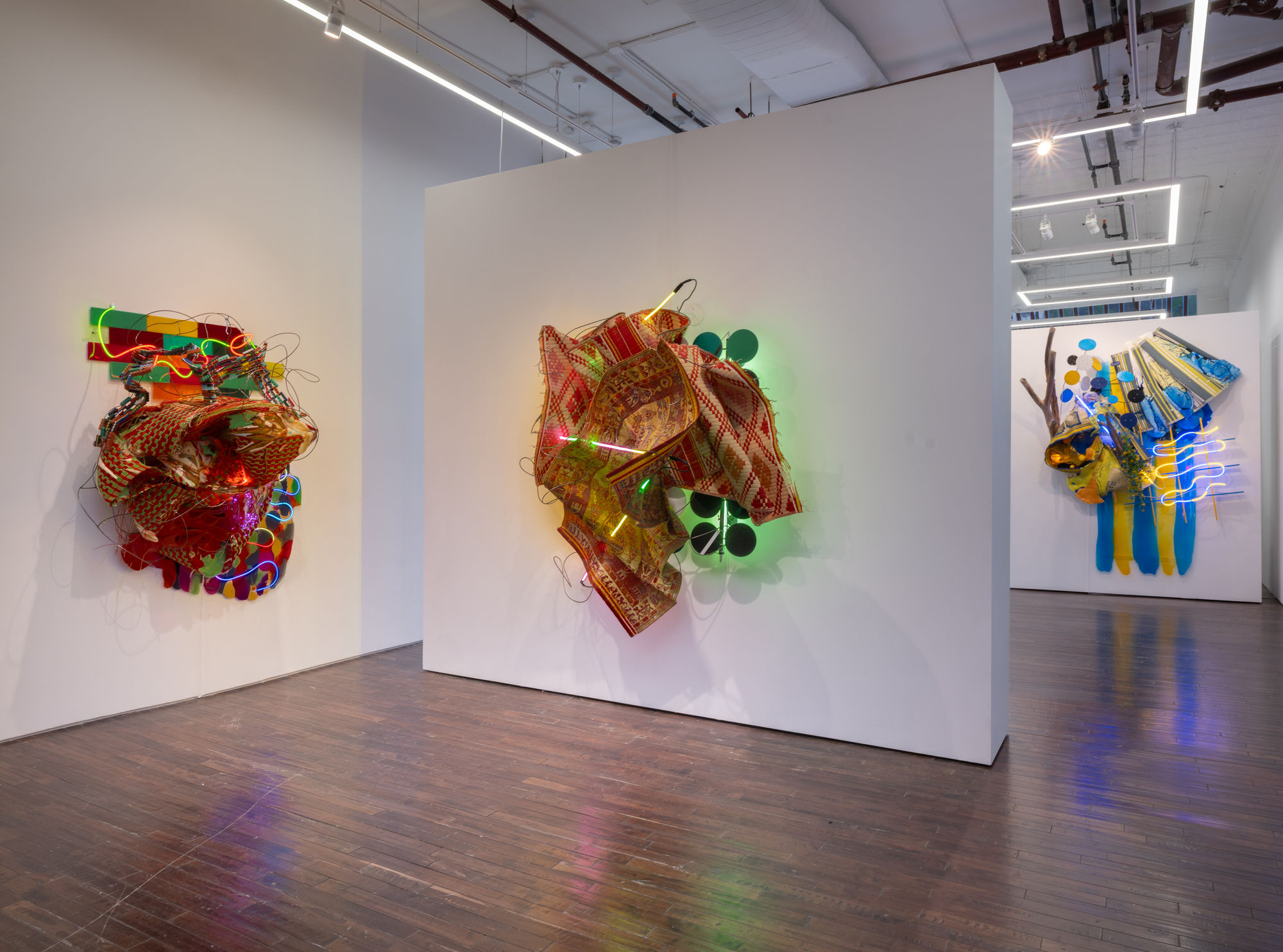 Judy Pfaff: Light Years