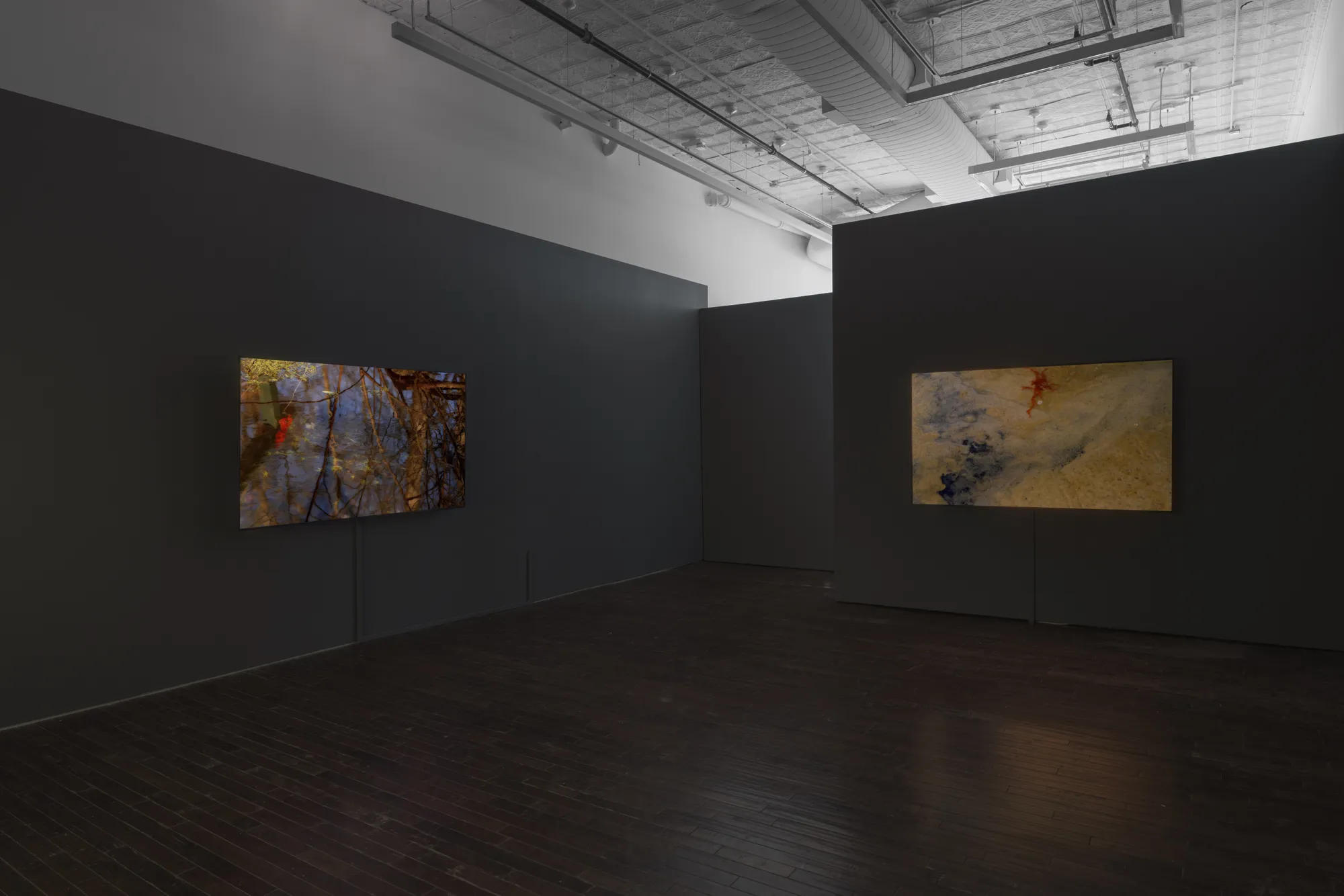 peter campus: what dreams may come