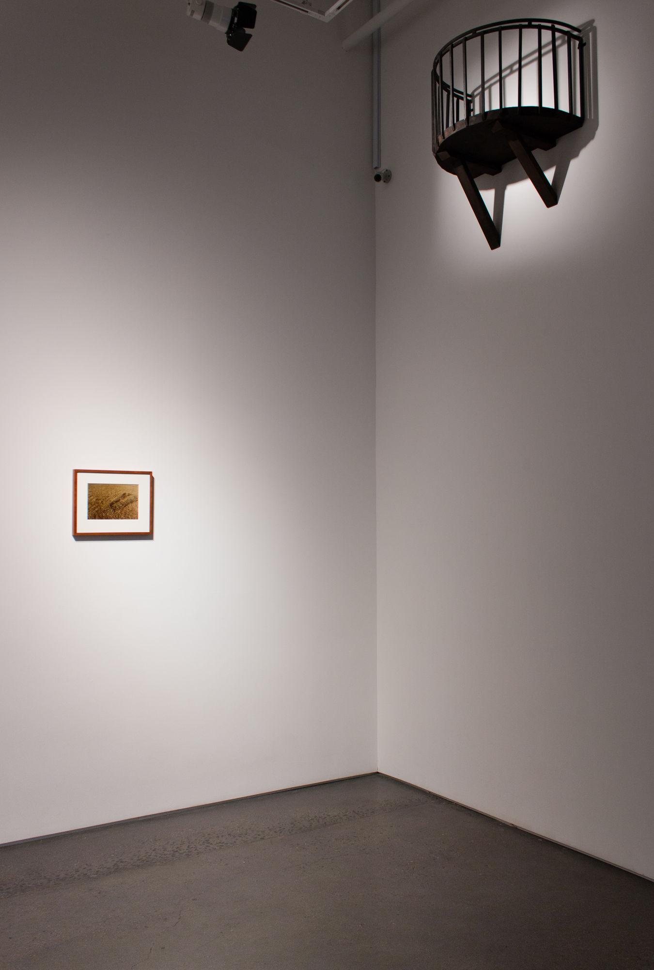 Tracks, Symptoms, and Designations: Art and the Index