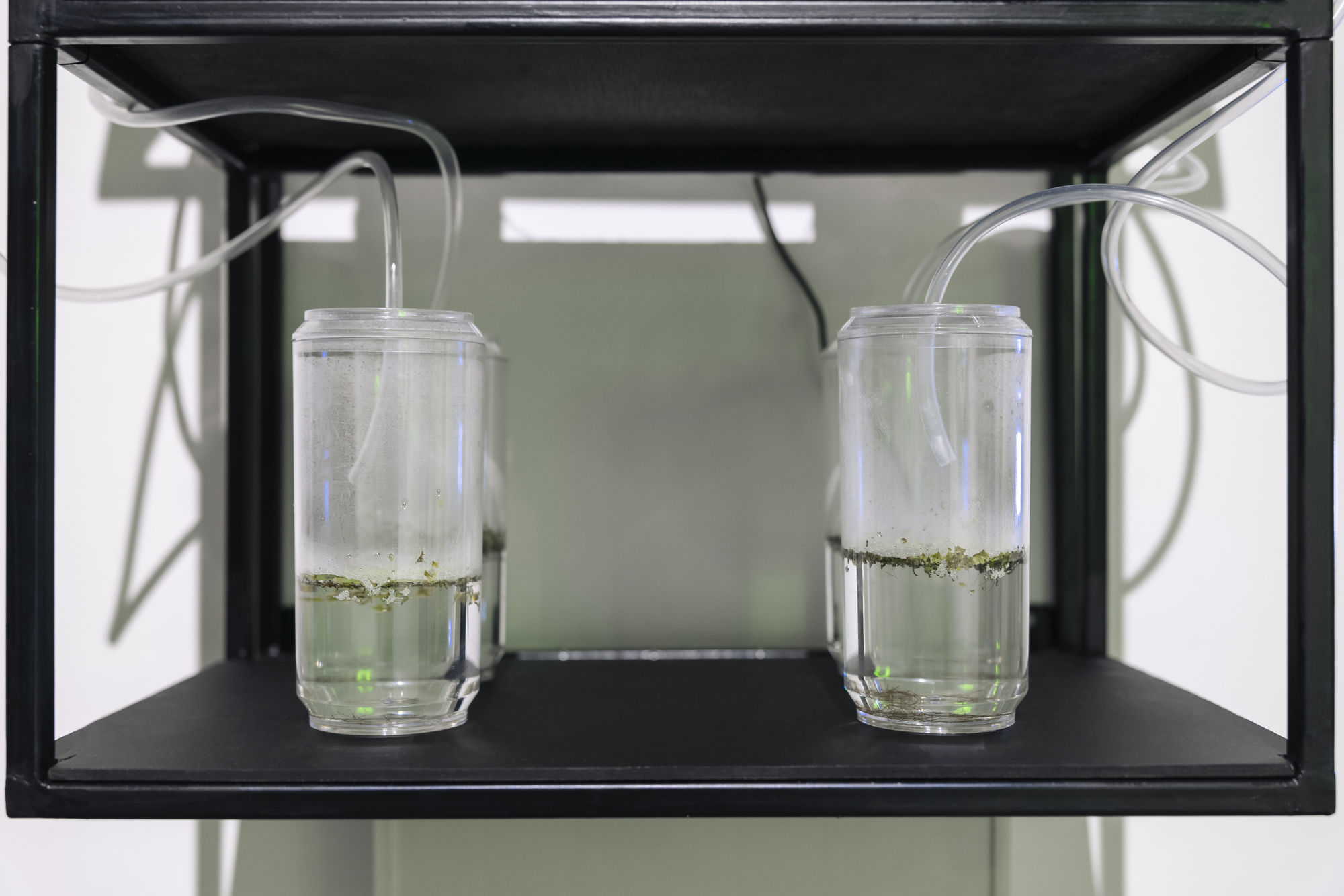 ILLUMINATIONS Of Women’s Prowess in Art, Science, Technology and Cultural Infusions