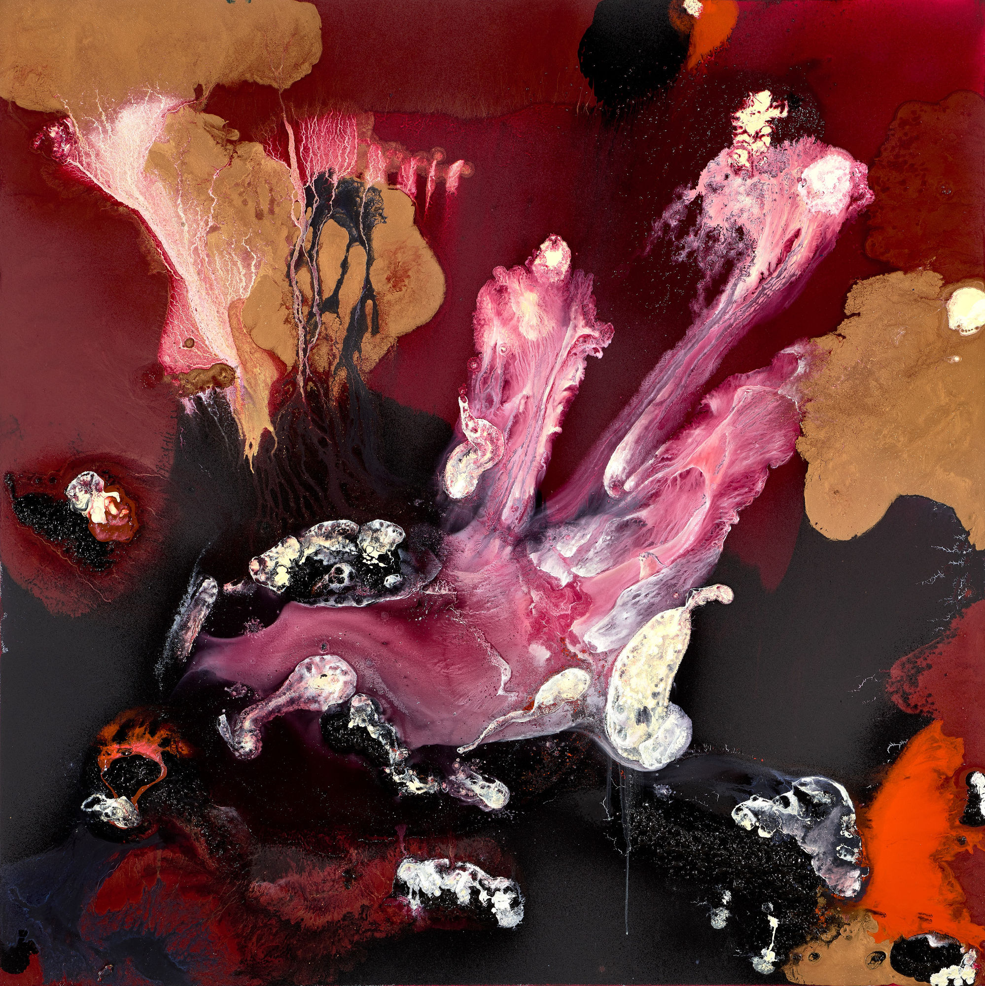 Lionel Sabatté, Reussite Rubis, 2019