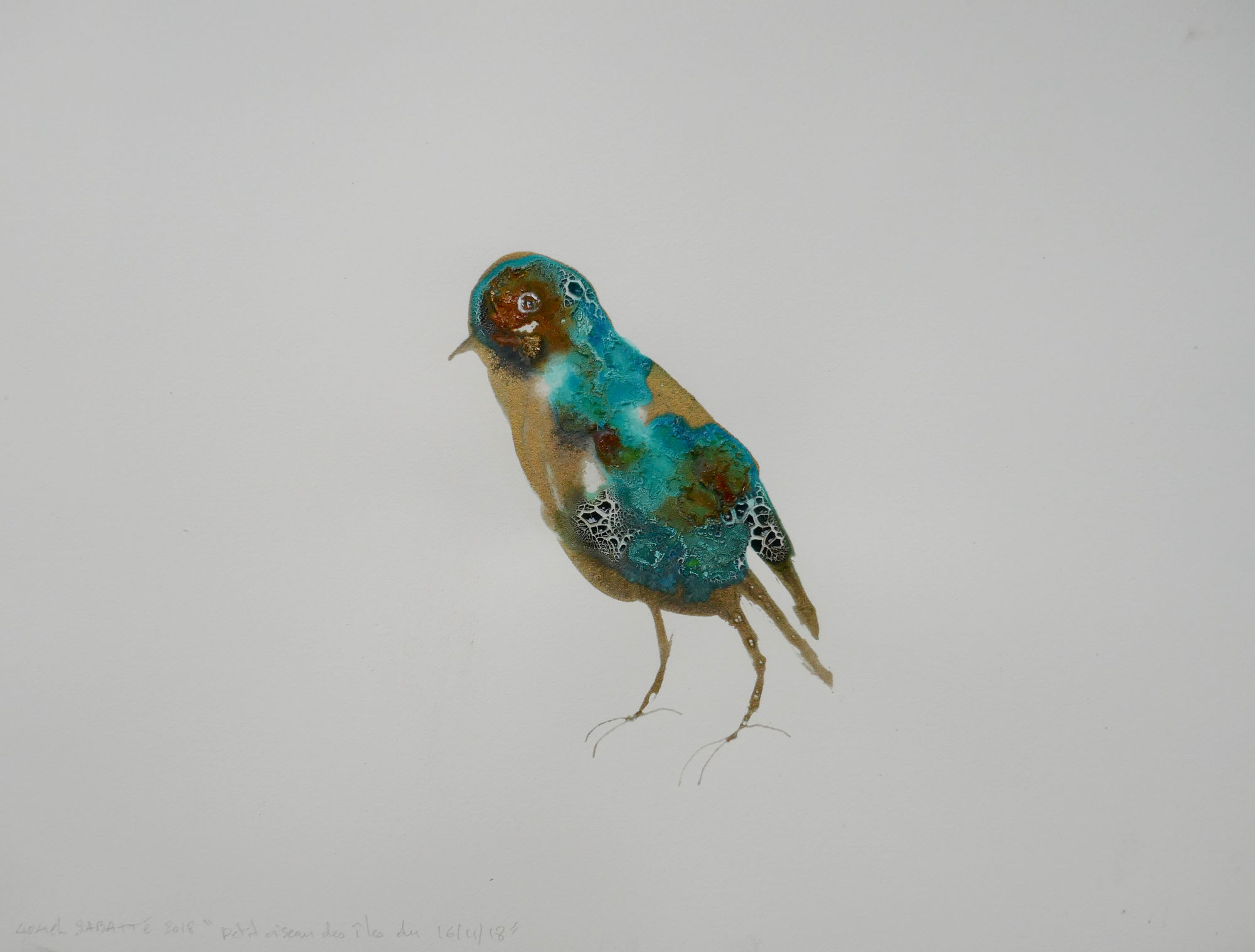 Lionel Sabatté, Petite Oiseau des Îles du 16 novembre, 2018