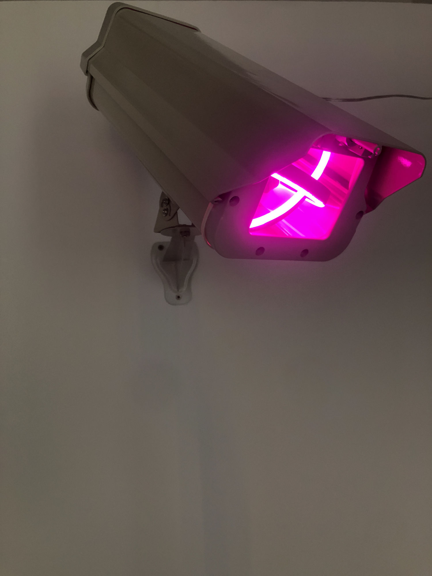 Shen Jiaqi, Doing the Right Things, 2022