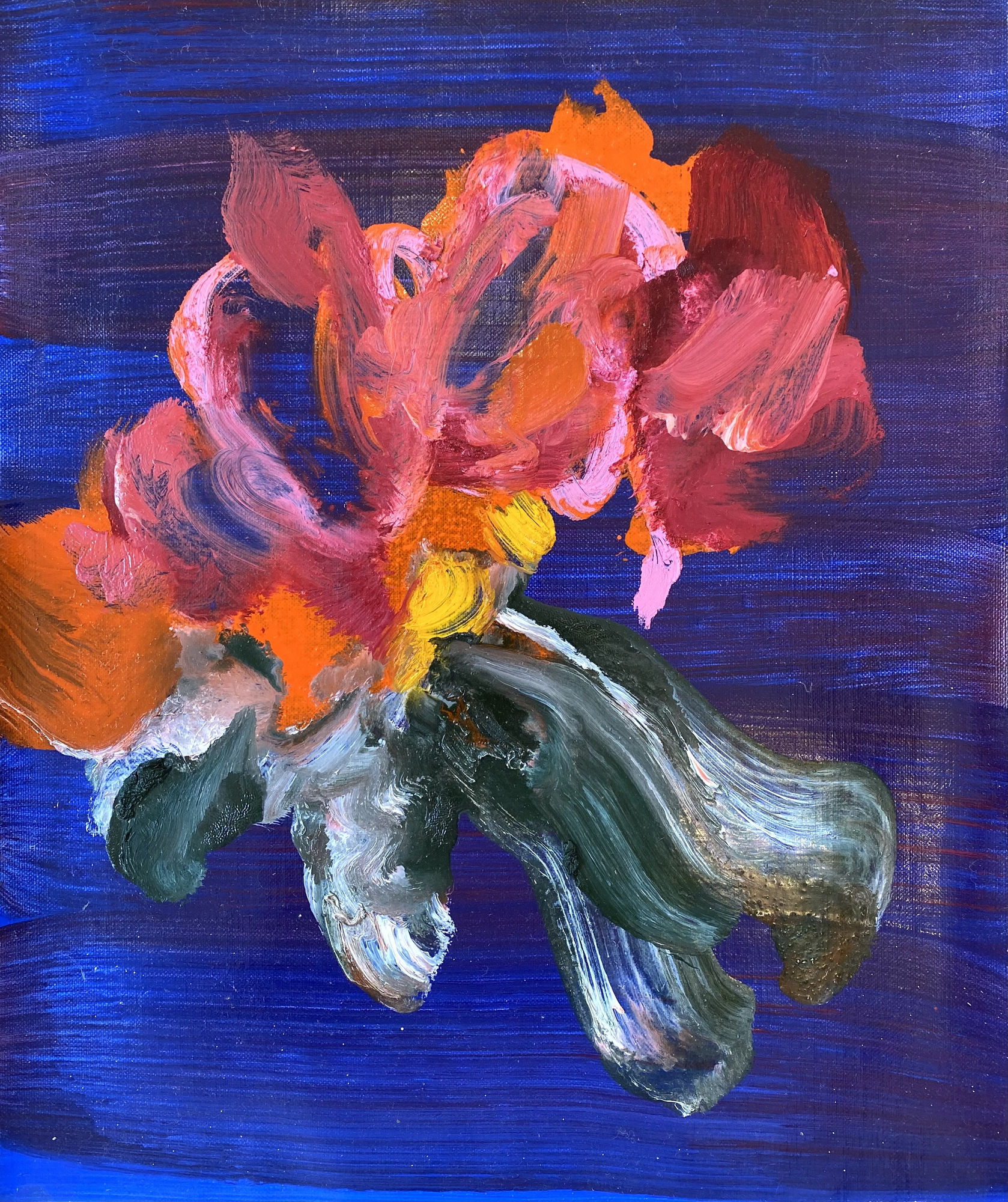 Gaël Davrinche, F6, 2022