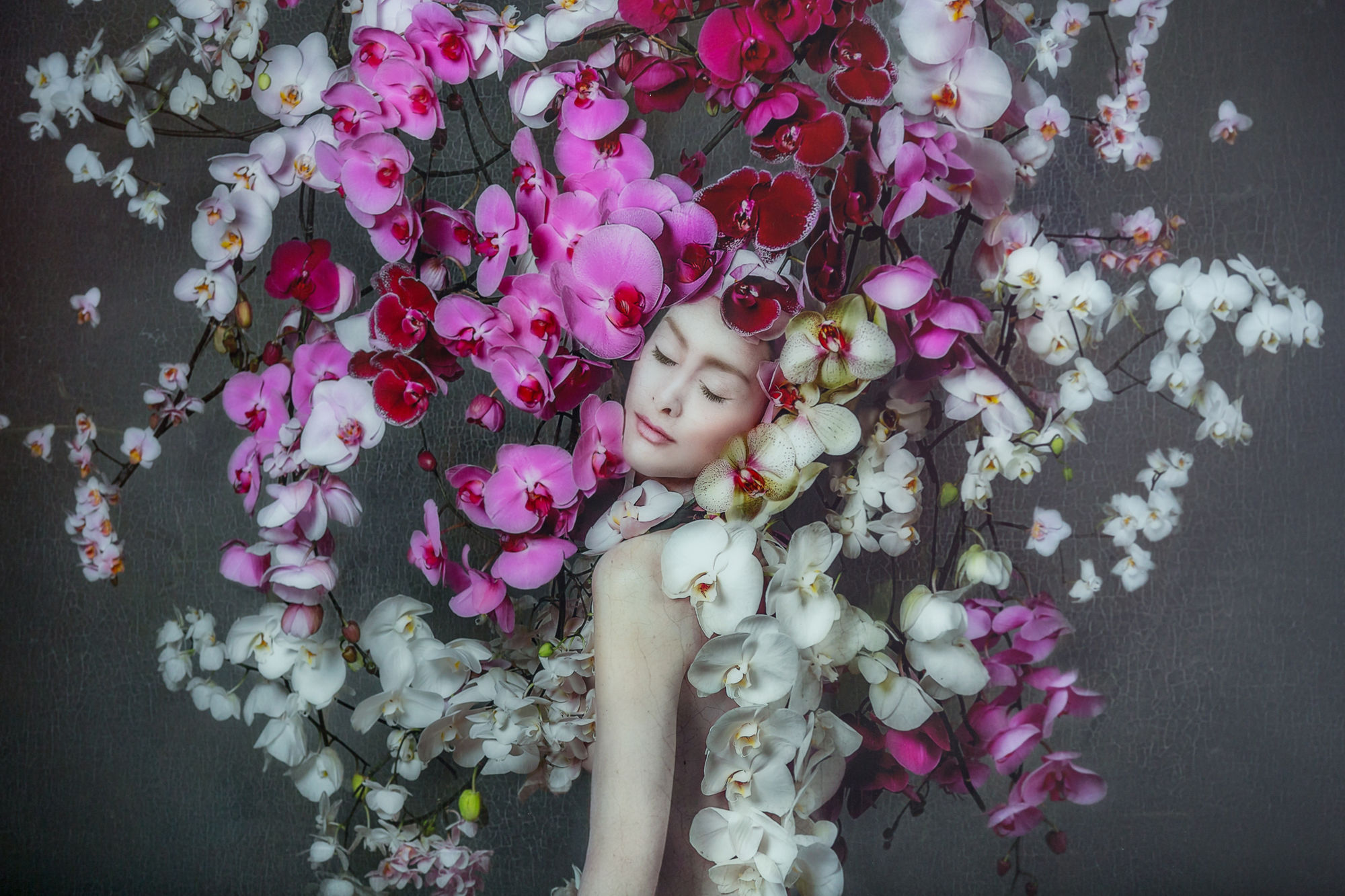 photo credit Cristina Schek