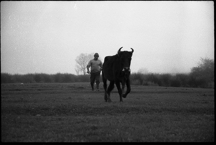 Joubeen Mireskandari | "The Sacrifice —or How I Learned to Stop Worrying and Love the Blood!"