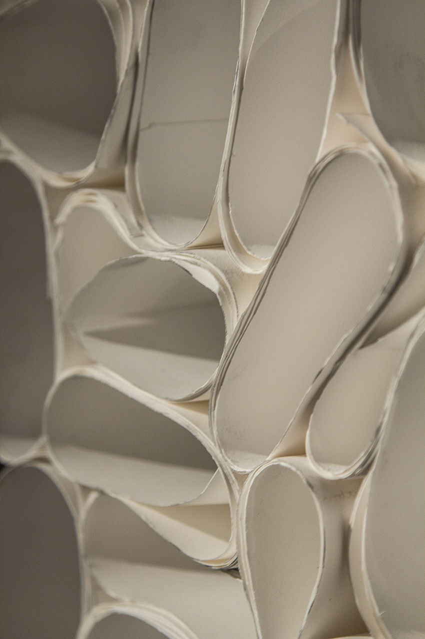 Drawing House Members | "White"