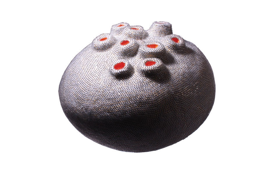 Zahra Navaei | "Without Colors"