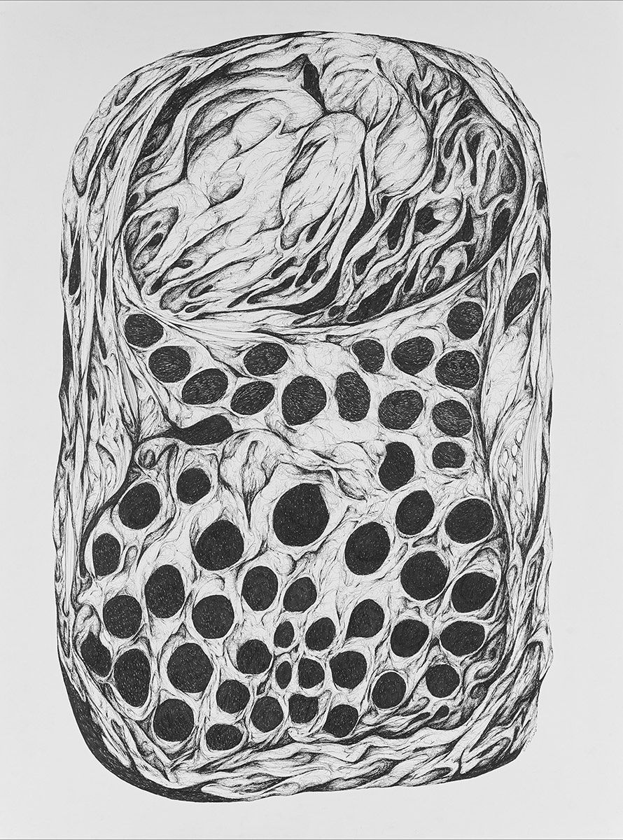 Farhad Gavzan Untitled, 2015