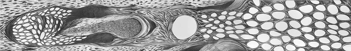 Farhad Gavzan Untitled