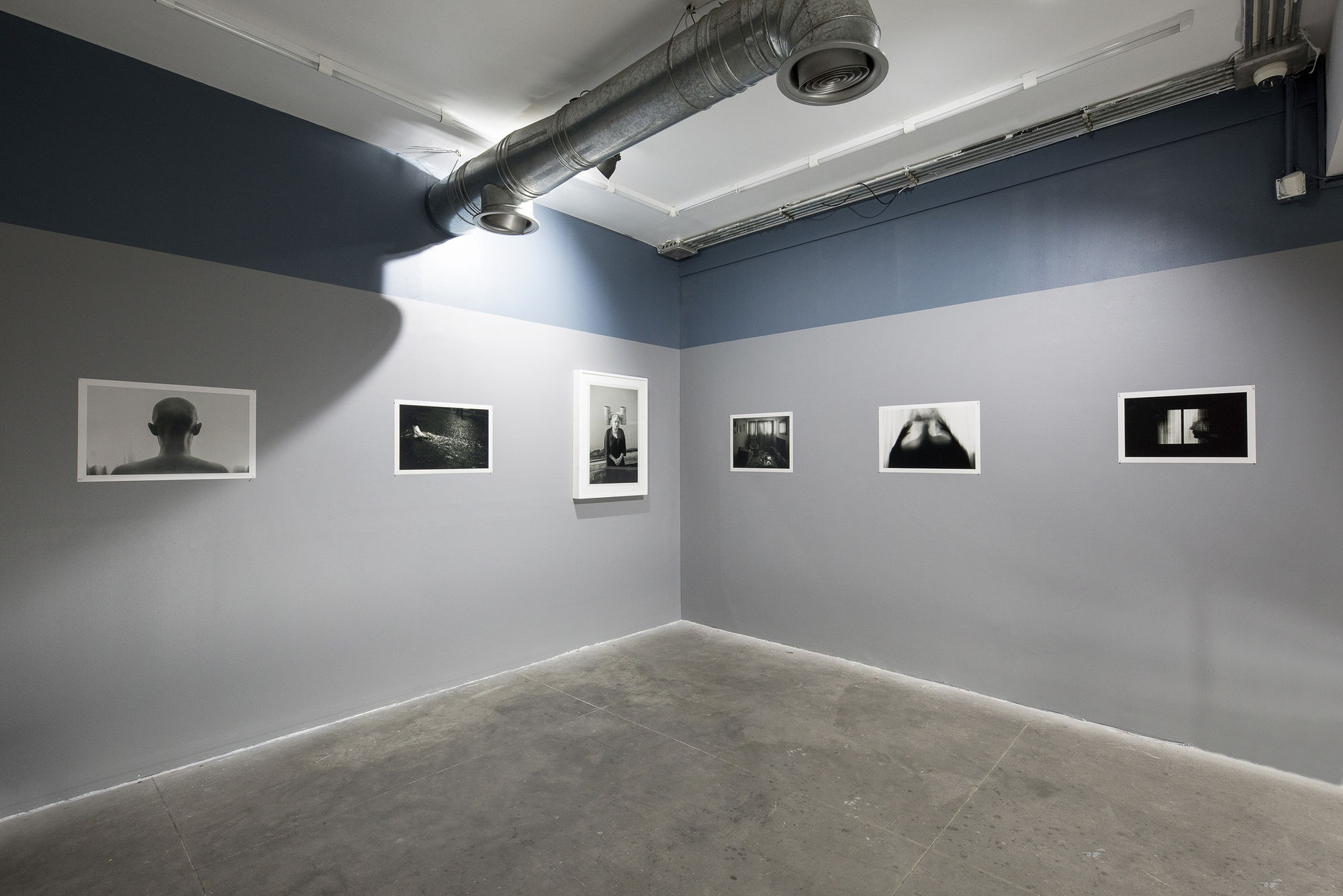 Niusha Hatefi | "Medulloblastoma"