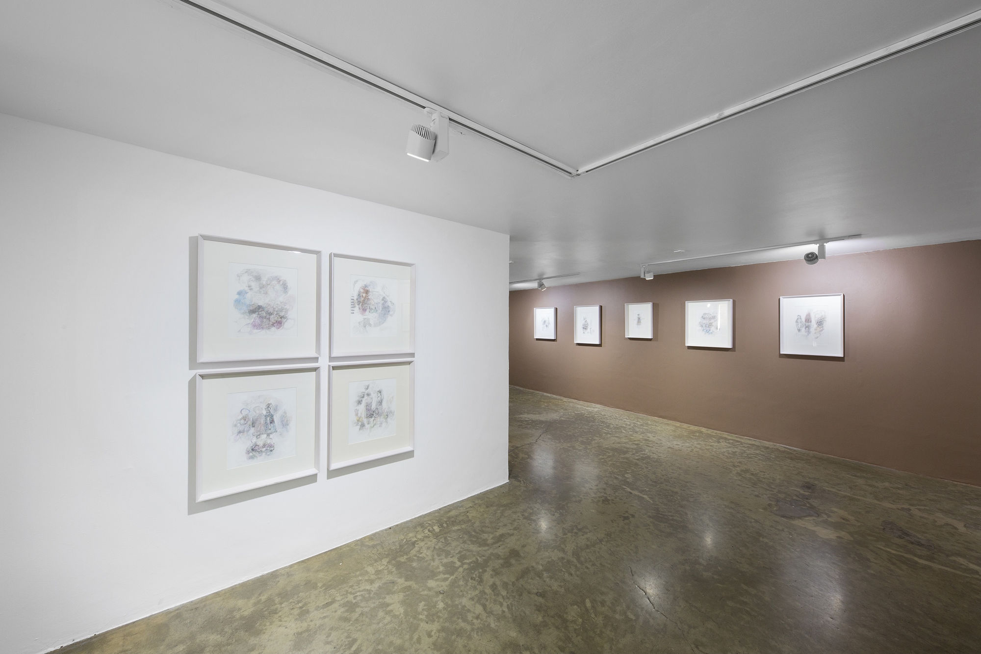 Installation View of What We Are Not a solo presentation of works by Shiva Shahla.