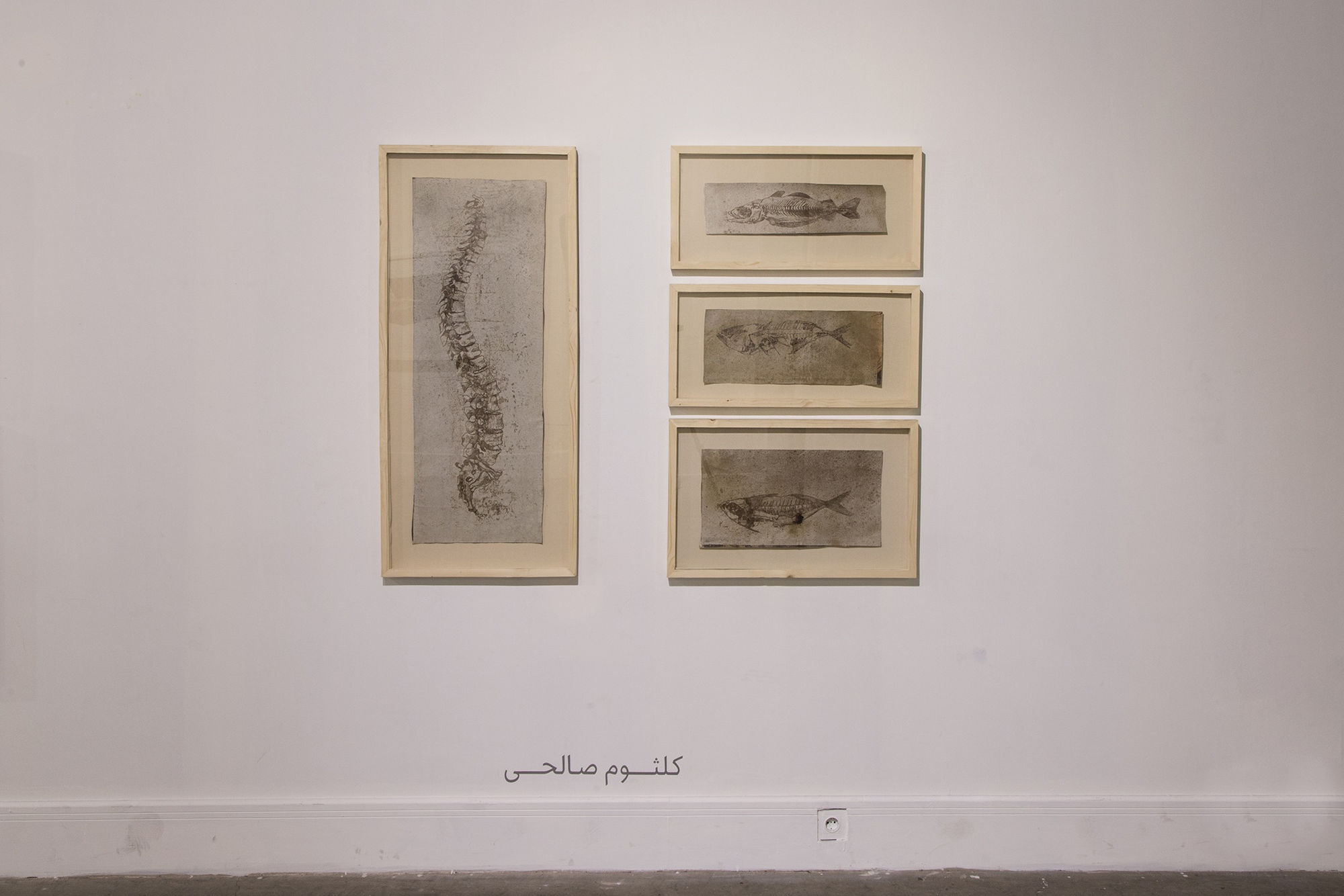 "Encircle the Apple or Shadowlessness"