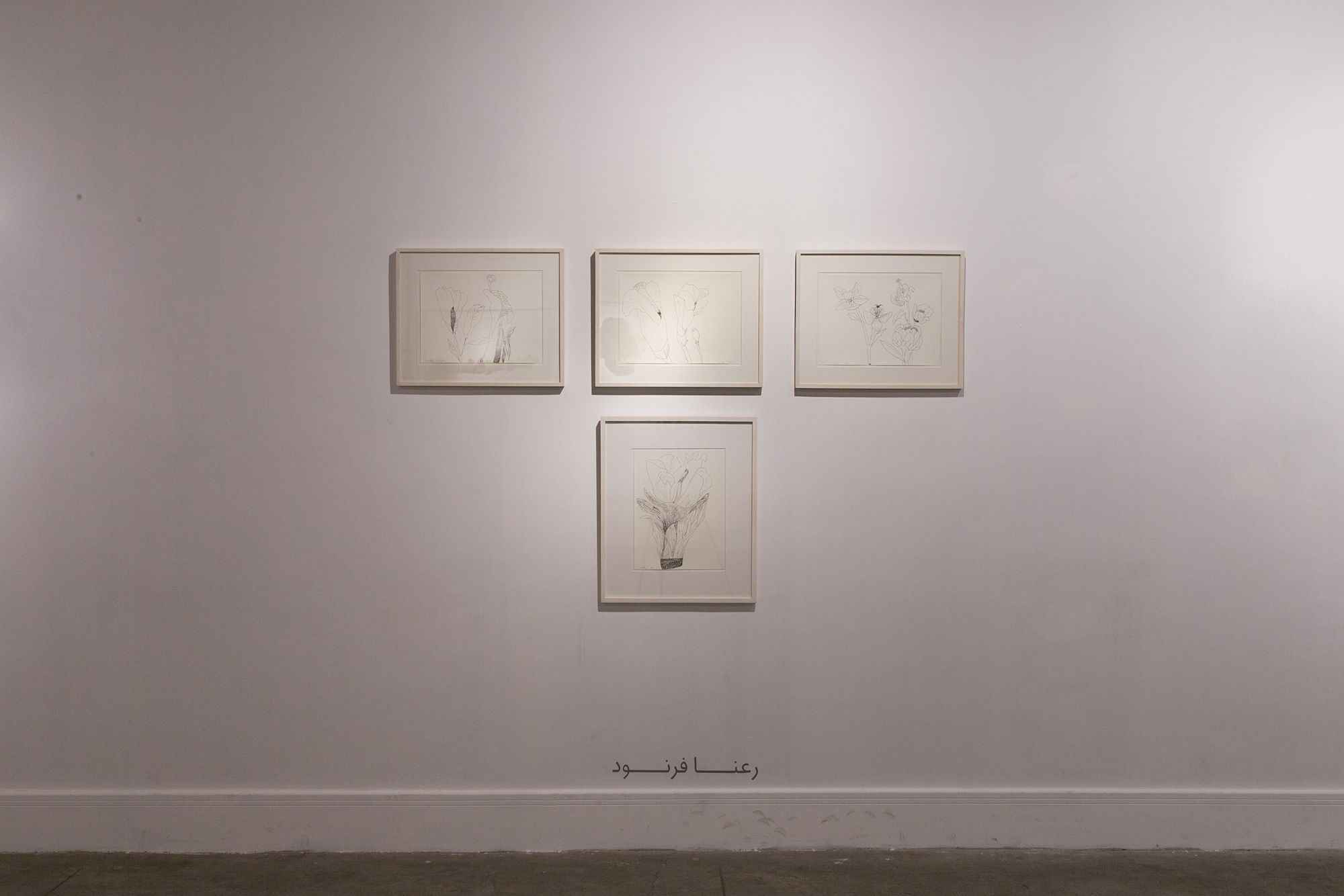 "Encircle the Apple or Shadowlessness"