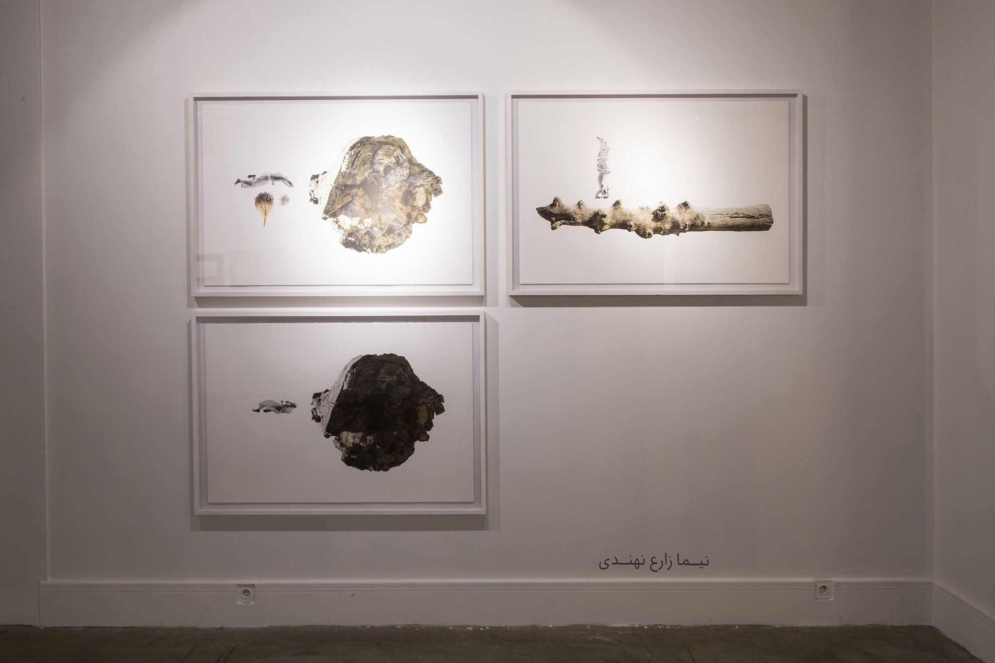 "Encircle the Apple or Shadowlessness"