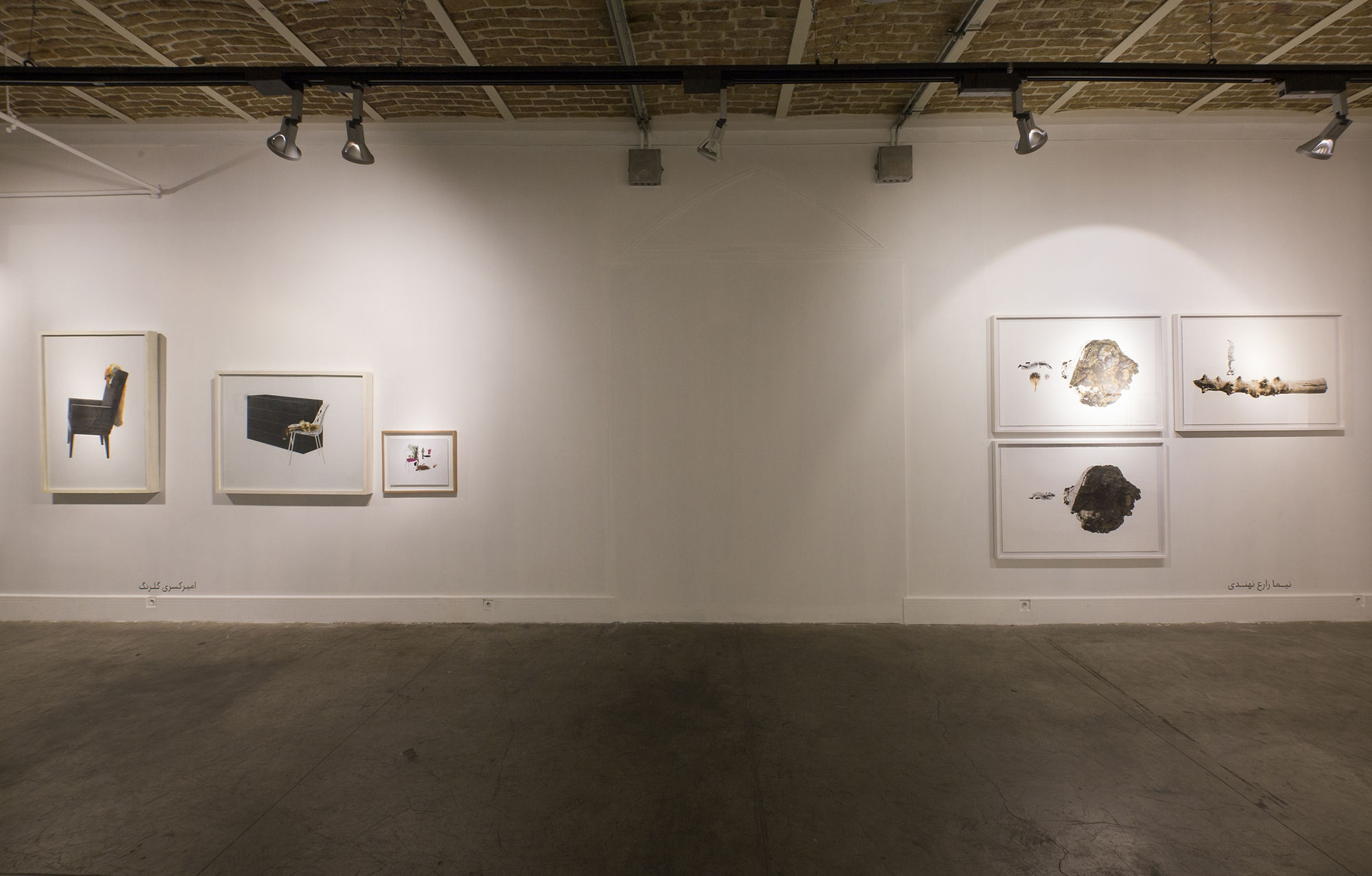 "Encircle the Apple or Shadowlessness"