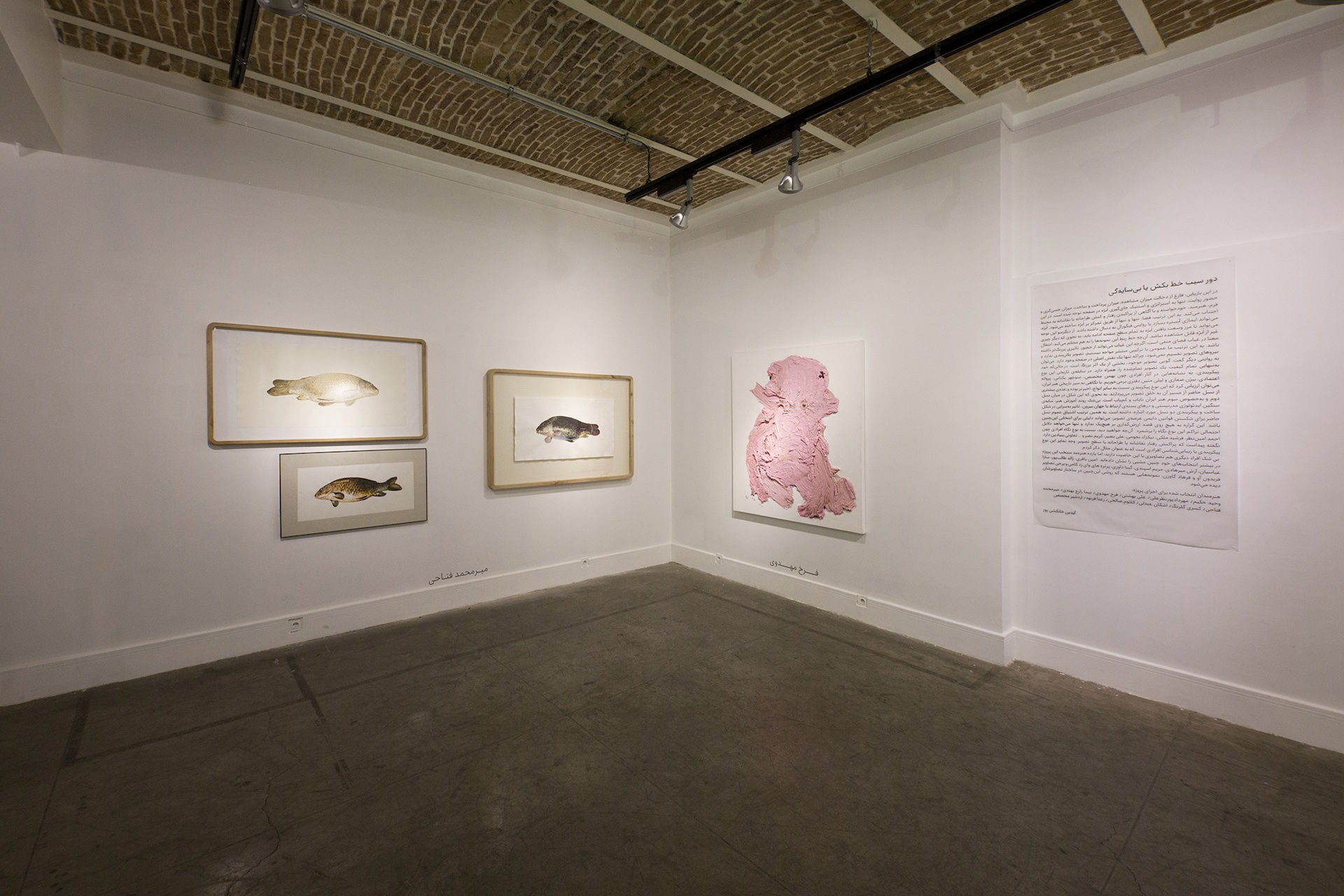 "Encircle the Apple or Shadowlessness"