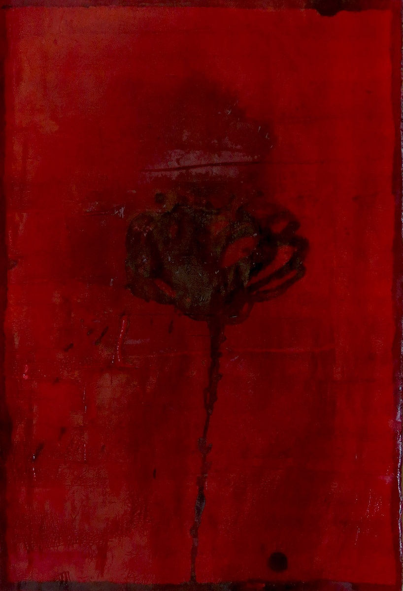 Aidin Xankeshipour | "Stranger"