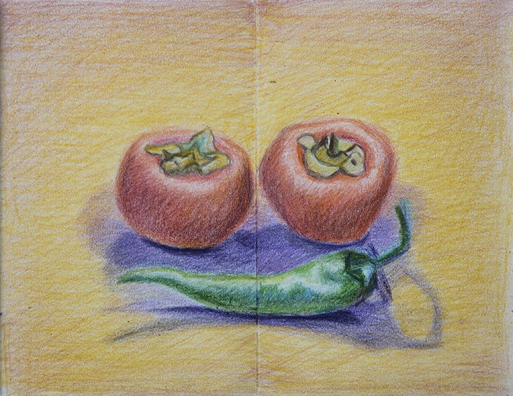 Manijeh Akhavan | "A Turning Affair"