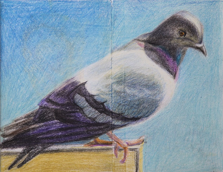 Manijeh Akhavan | "A Turning Affair"