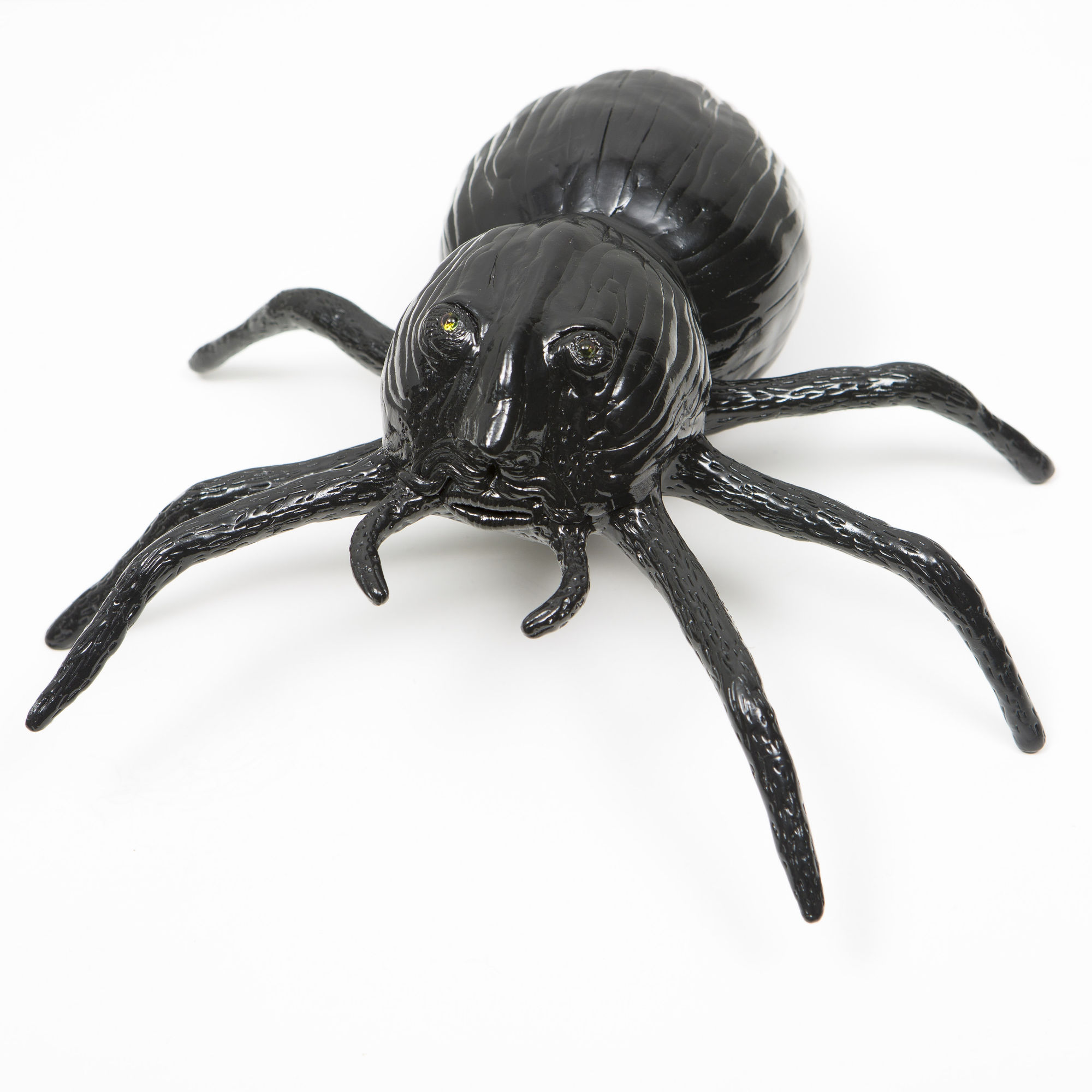 Amin Akbari | "Newborn Artist and Chigil's Candle"