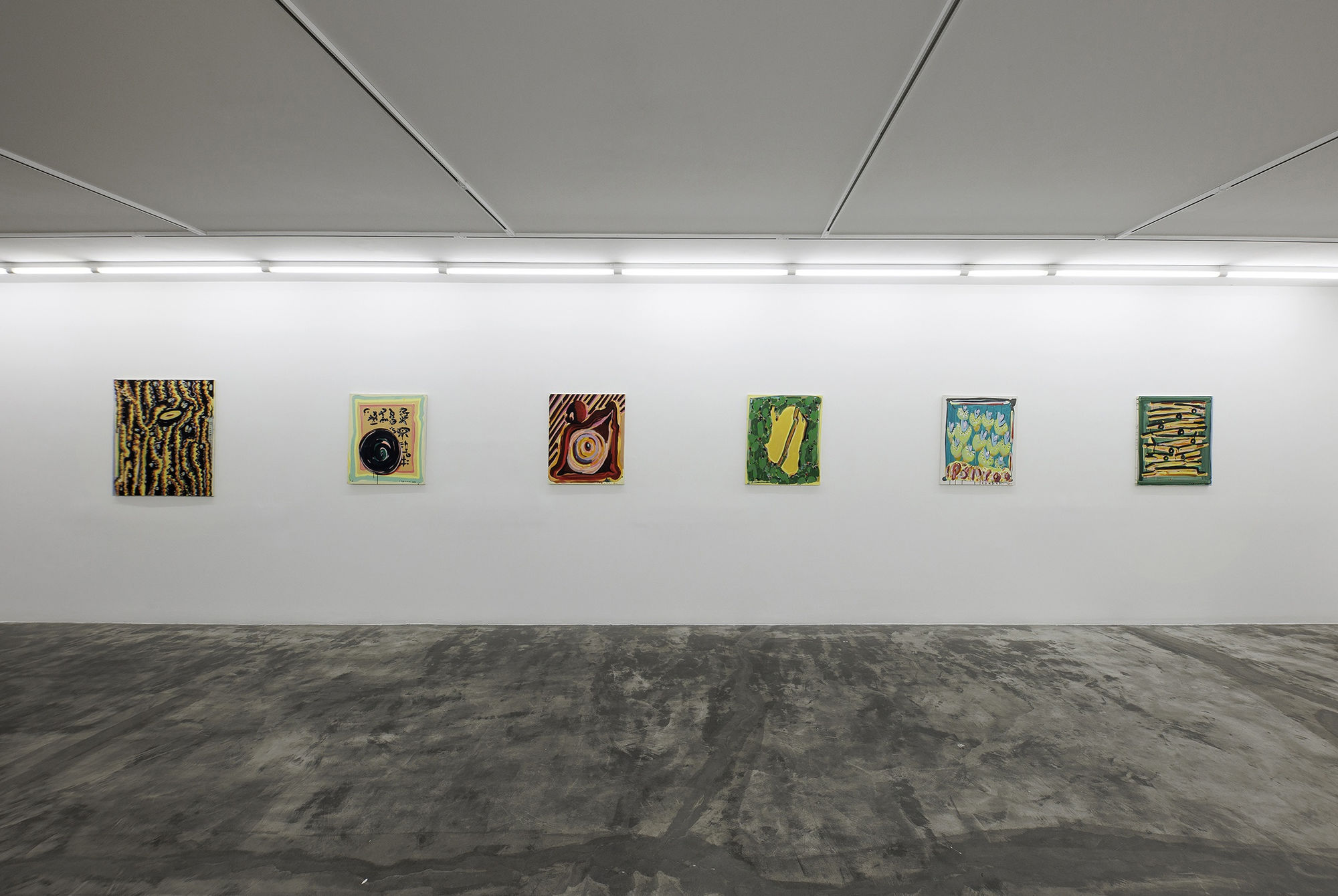Installation view of Chromatic a solo presentation of works by Nariman Farrokhi .