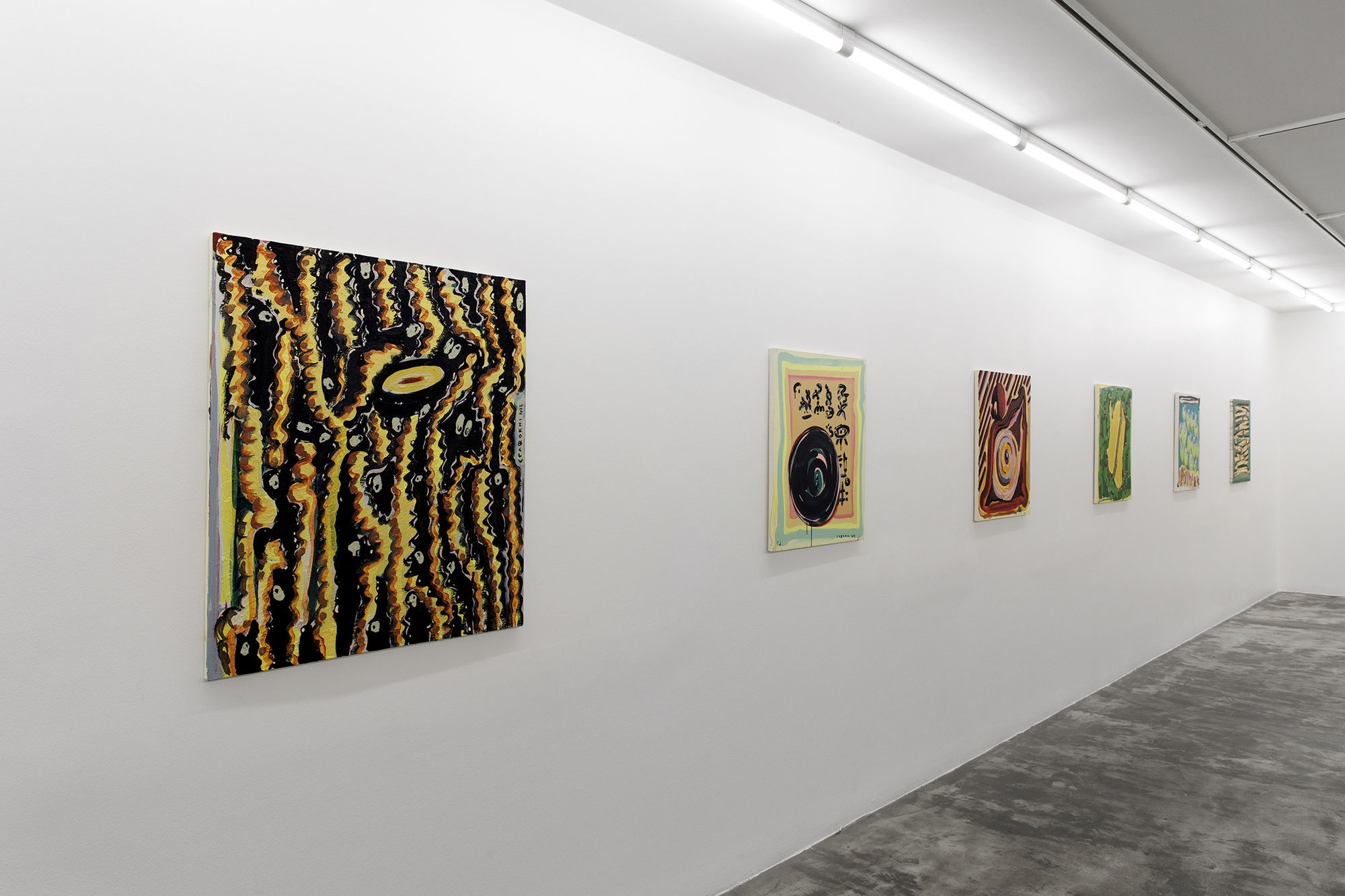 Installation view of Chromatic a solo presentation of works by Nariman Farrokhi .