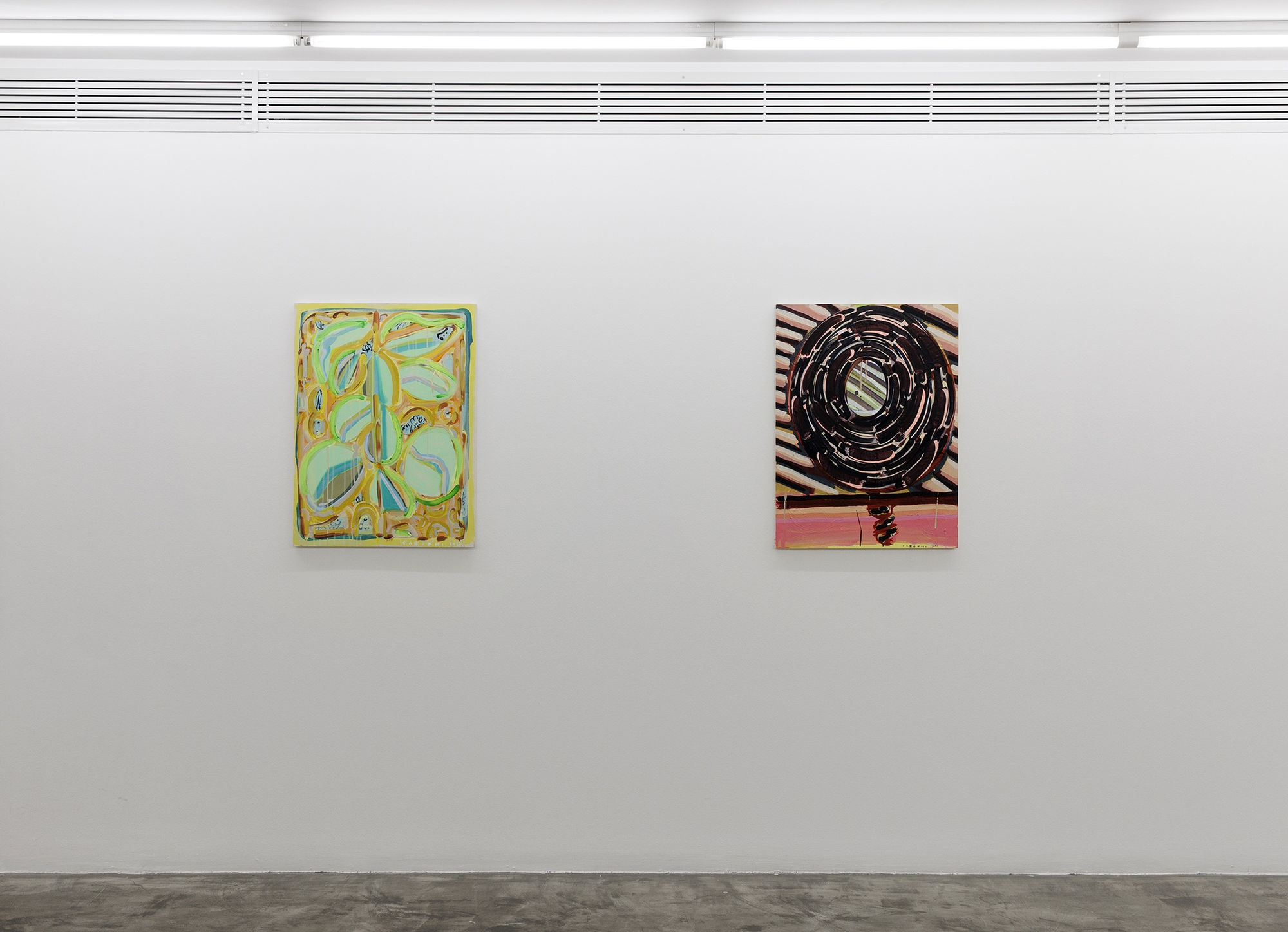 Installation view of Chromatic a solo presentation of works by Nariman Farrokhi .