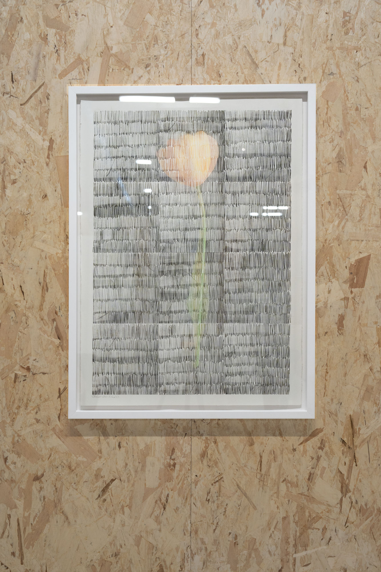 Installation View of Merging Boundaries, as a part of CONTACT Photography Festival at Zaal Art Gallery.