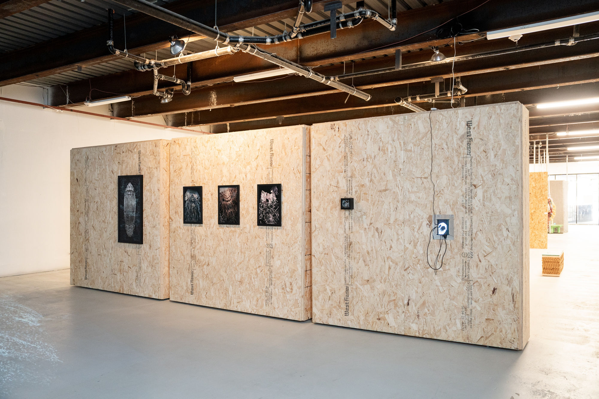 Installation view of Liminal a solo presentation of works by Ali Phi.