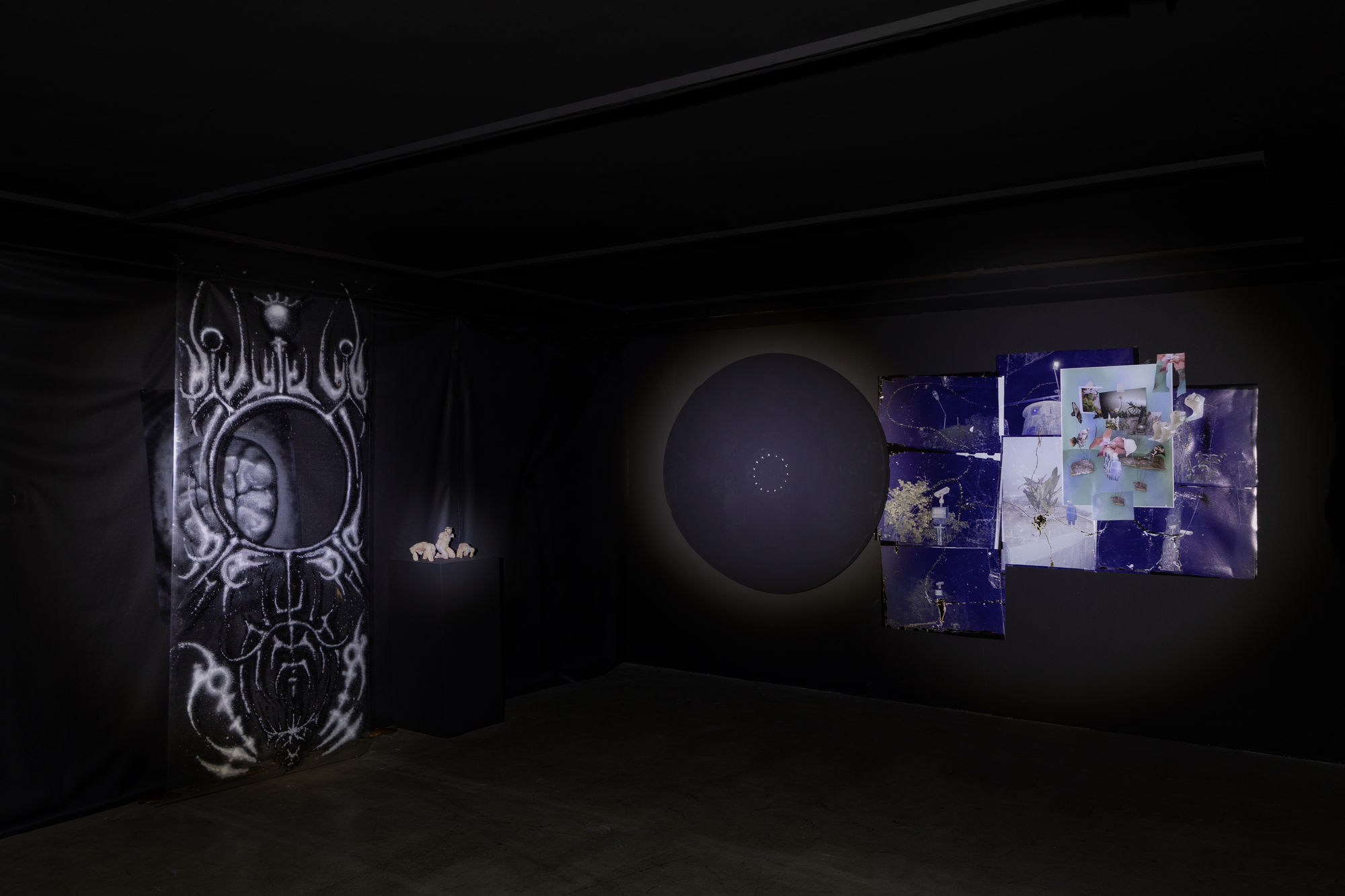 Intsallation View of Blind Elephant a group presentation of works.