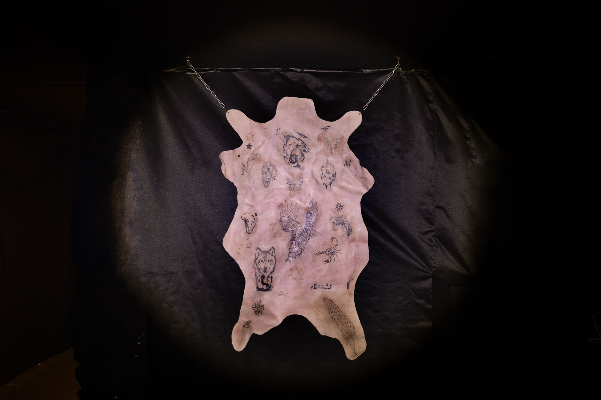 Intsallation View of Blind Elephant a group presentation of works.