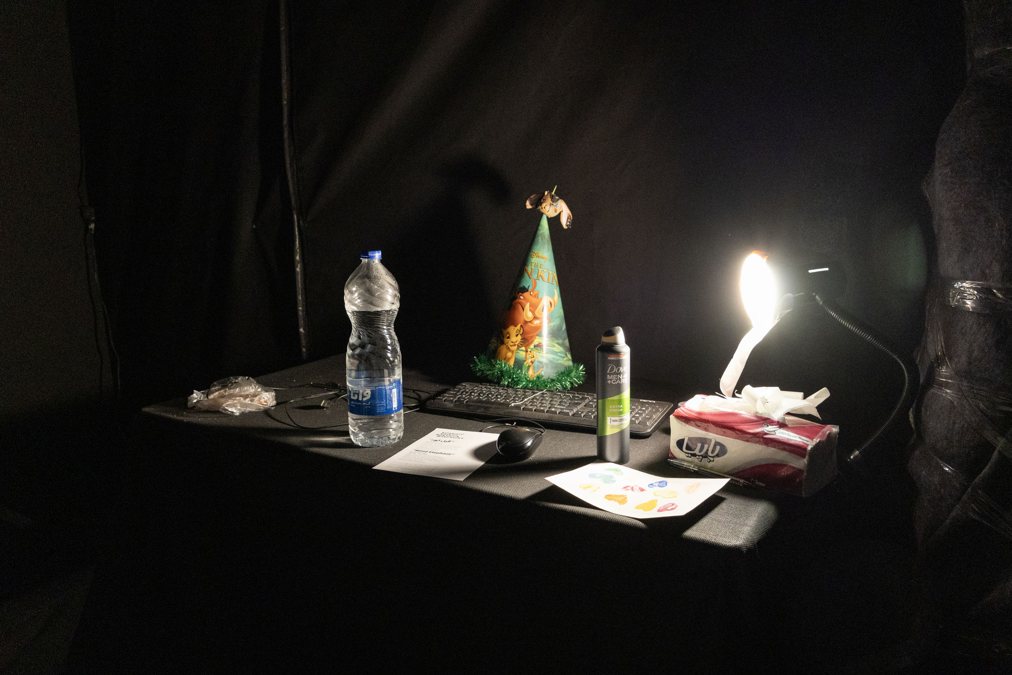 Intsallation View of Blind Elephant a group presentation of works.