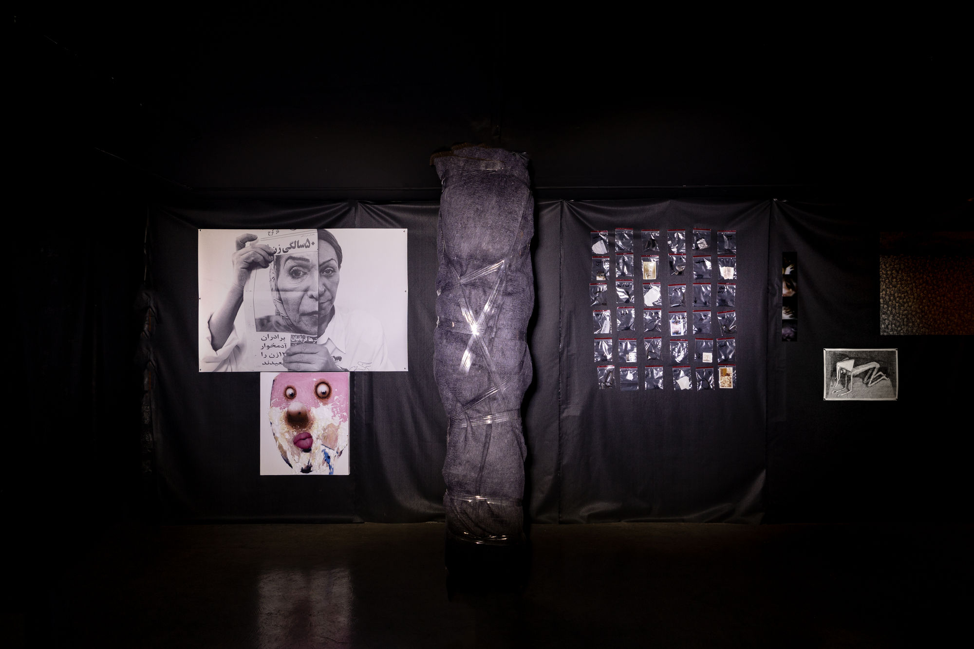 Intsallation View of Blind Elephant a group presentation of works.