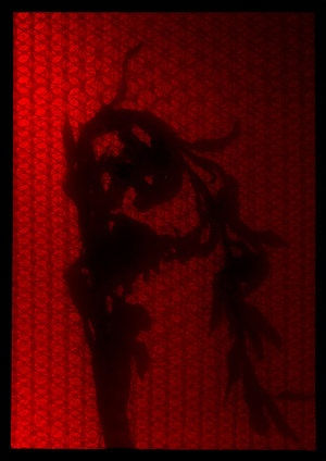 Visions From The Shoreline