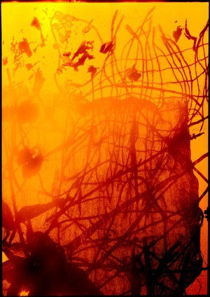 Visions From The Shoreline