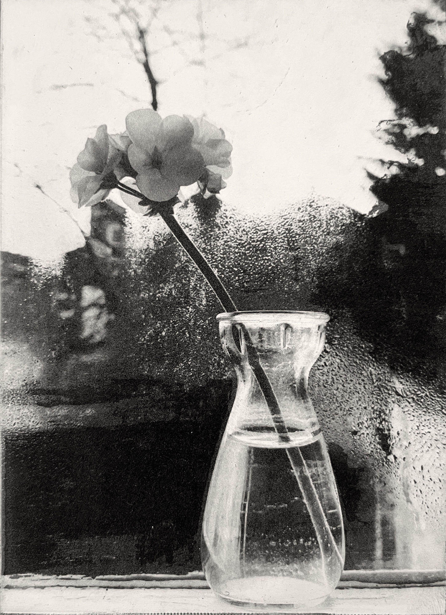 Summer Secret Bid Auction 2025, LOT 7: Lucy Bainbridge - Patience I, 2022