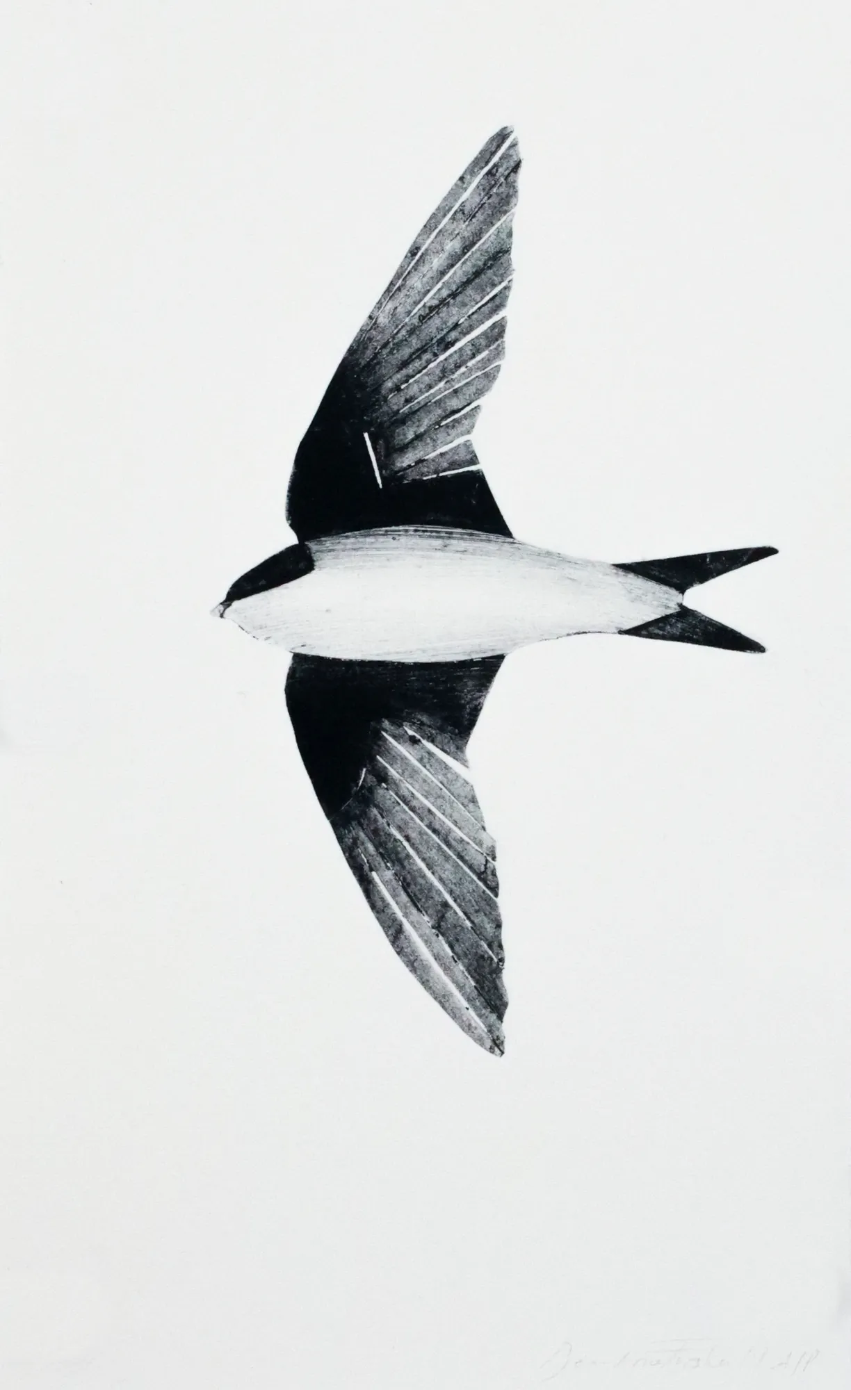 Christmas Secret Bid Auction 2025, LOT 84: Beatrice Forshall - House Martin