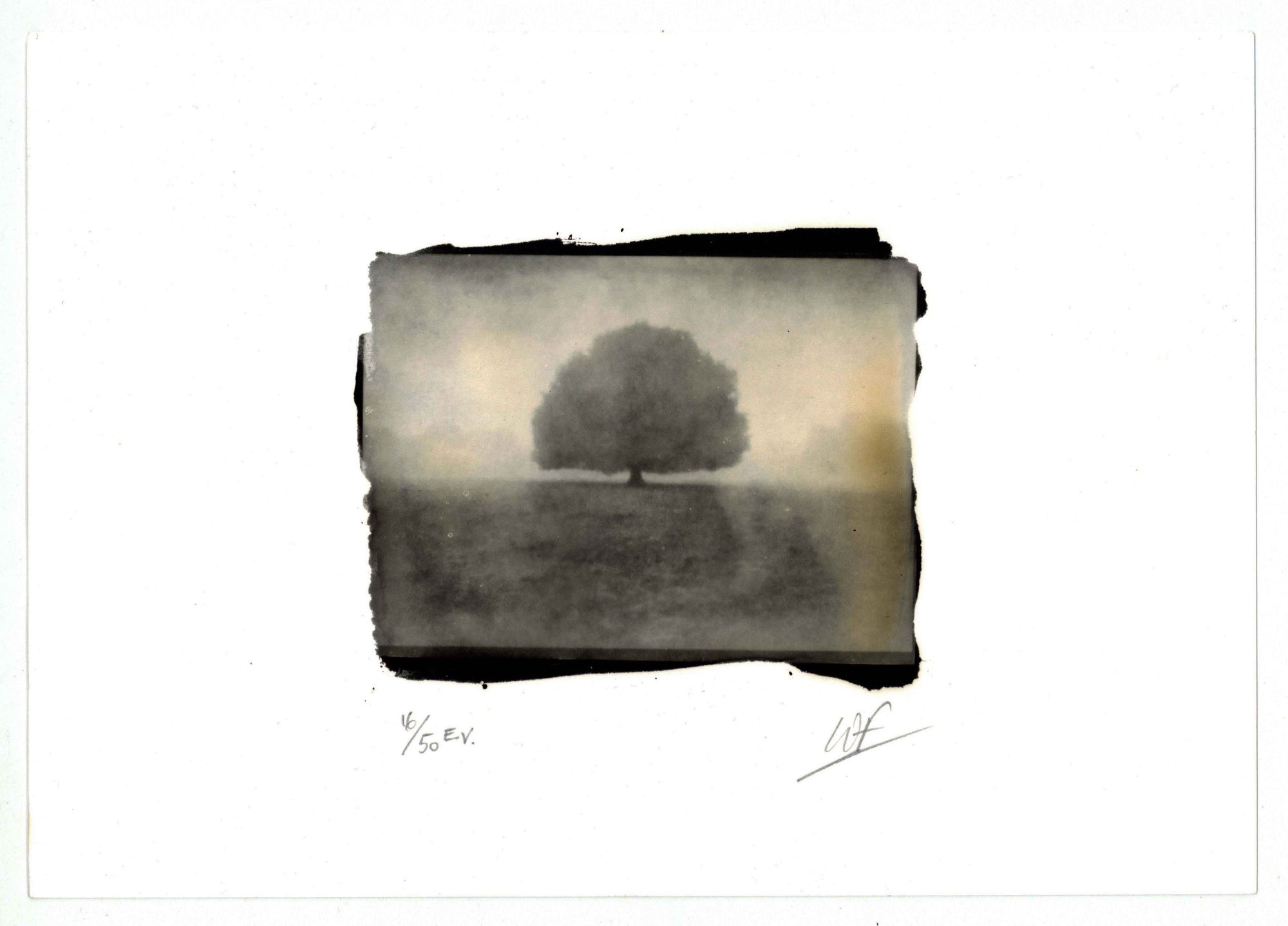 Christmas Secret Bid Auction 2022, LOT XX: Wayne Foskett - Greenwich Park, London